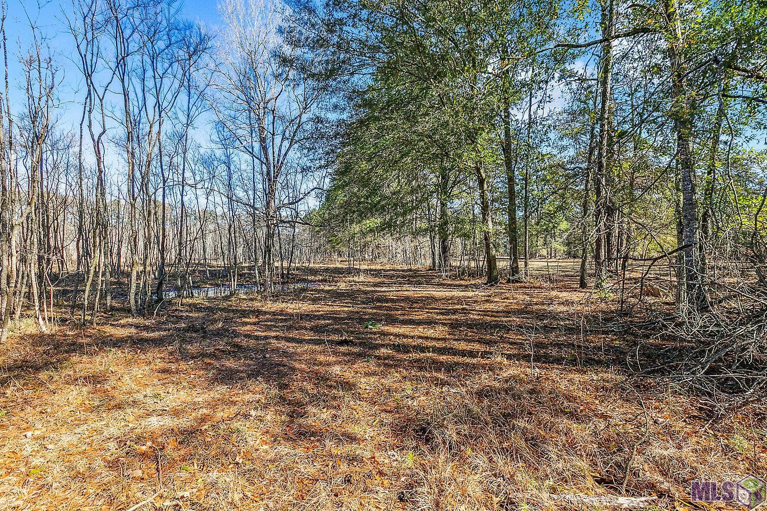 Tract A Leroe Ln, Walker, Louisiana image 15