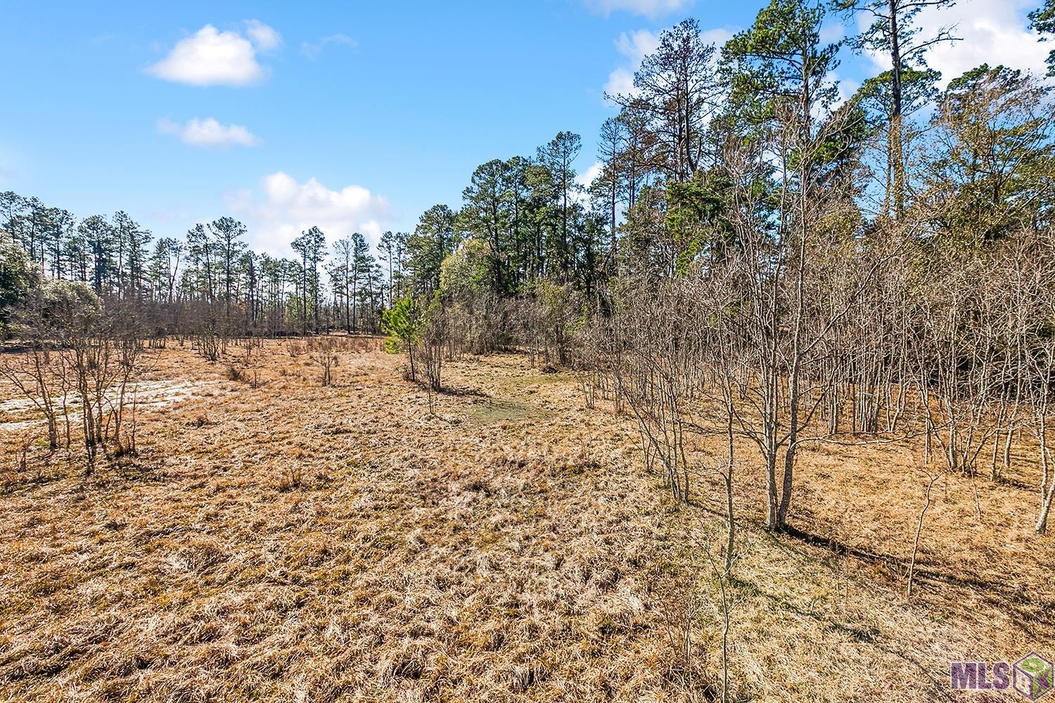 Tract A Leroe Ln, Walker, Louisiana image 3