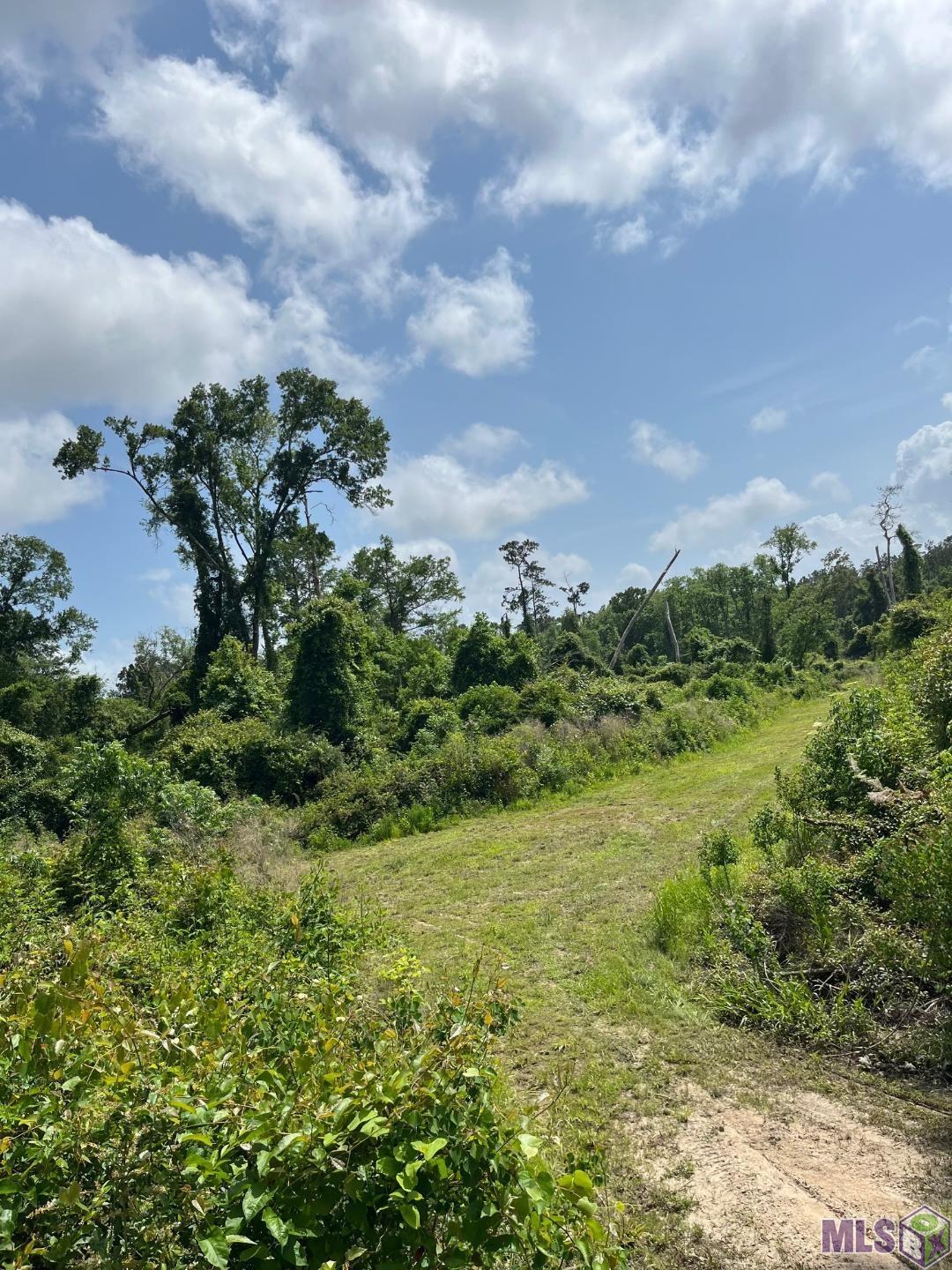 TBD Strawberry Ln, Albany, Louisiana image 18