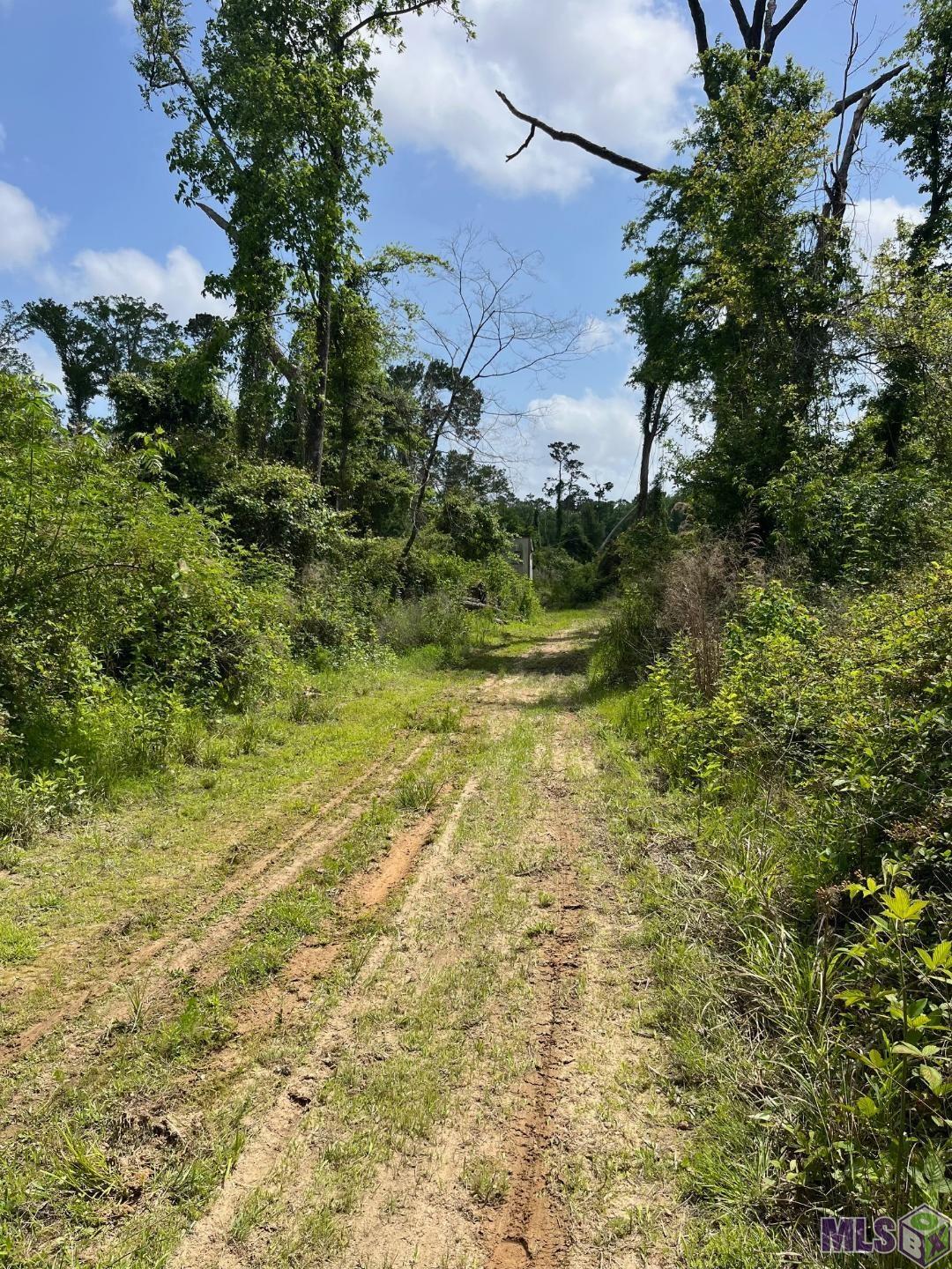 TBD Strawberry Ln, Albany, Louisiana image 17