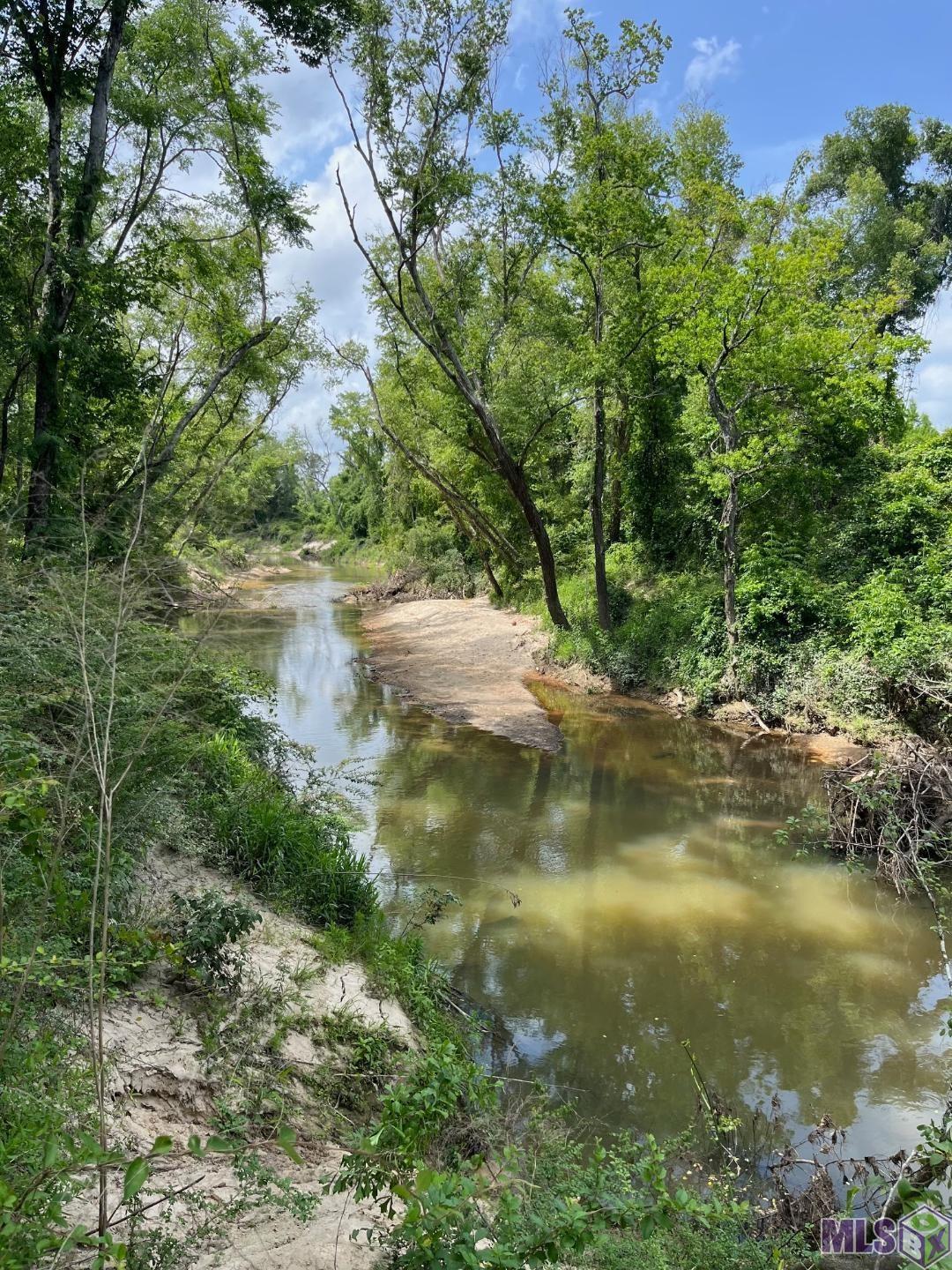 TBD Strawberry Ln, Albany, Louisiana image 9