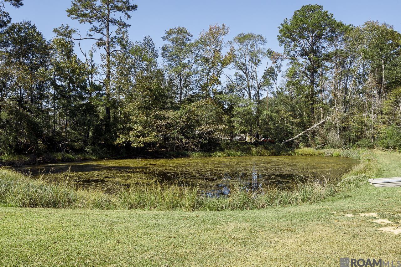 12424 La Hwy 421, Saint Francisville, Louisiana image 30