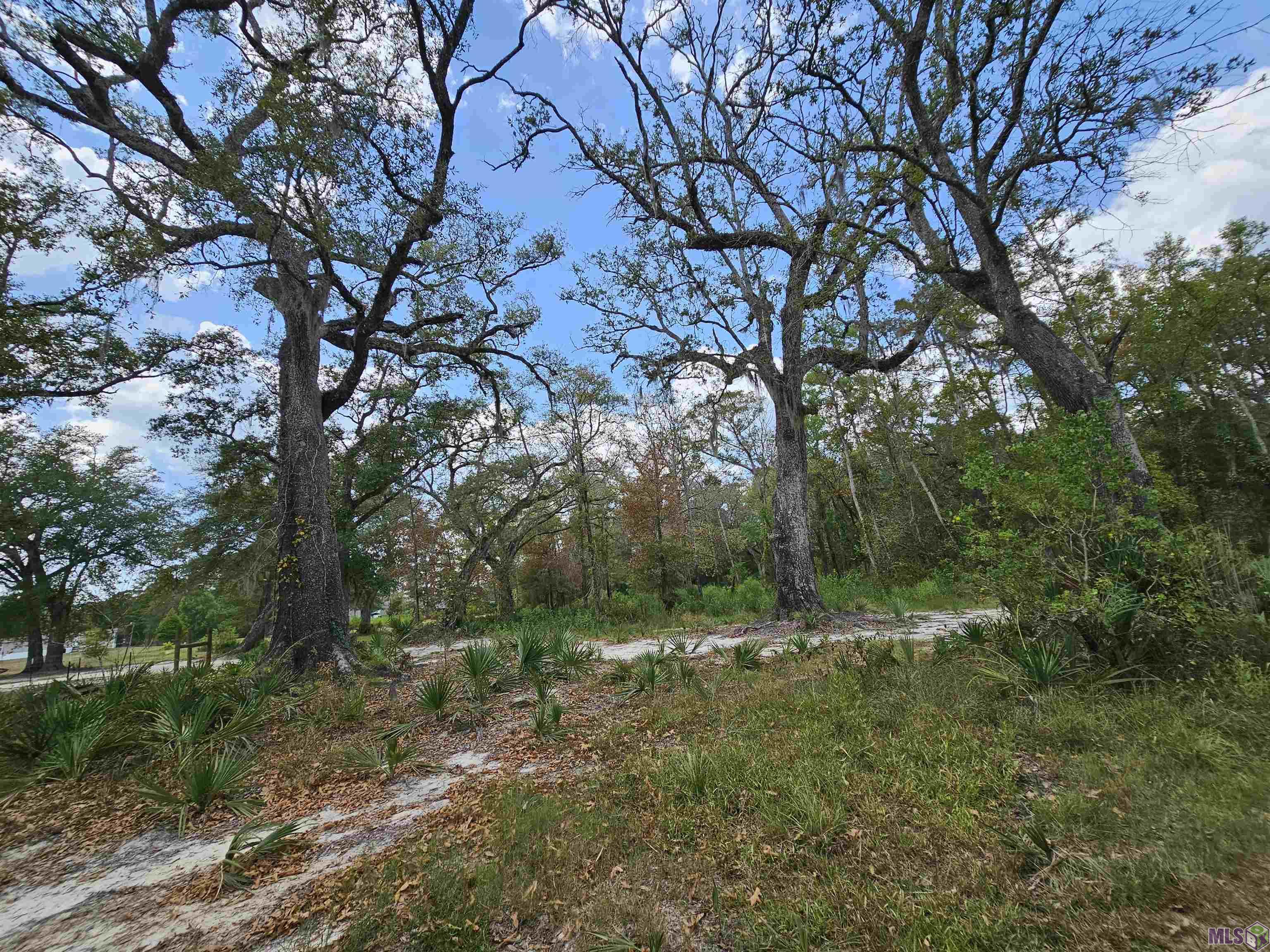 19128 Aydell Ln, French Settlement, Louisiana image 5