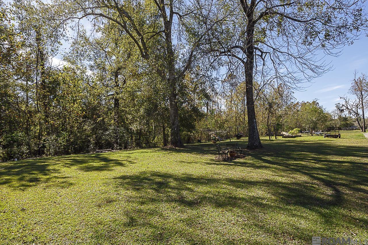 21206 Diversion Canal Rd, Maurepas, Louisiana image 30