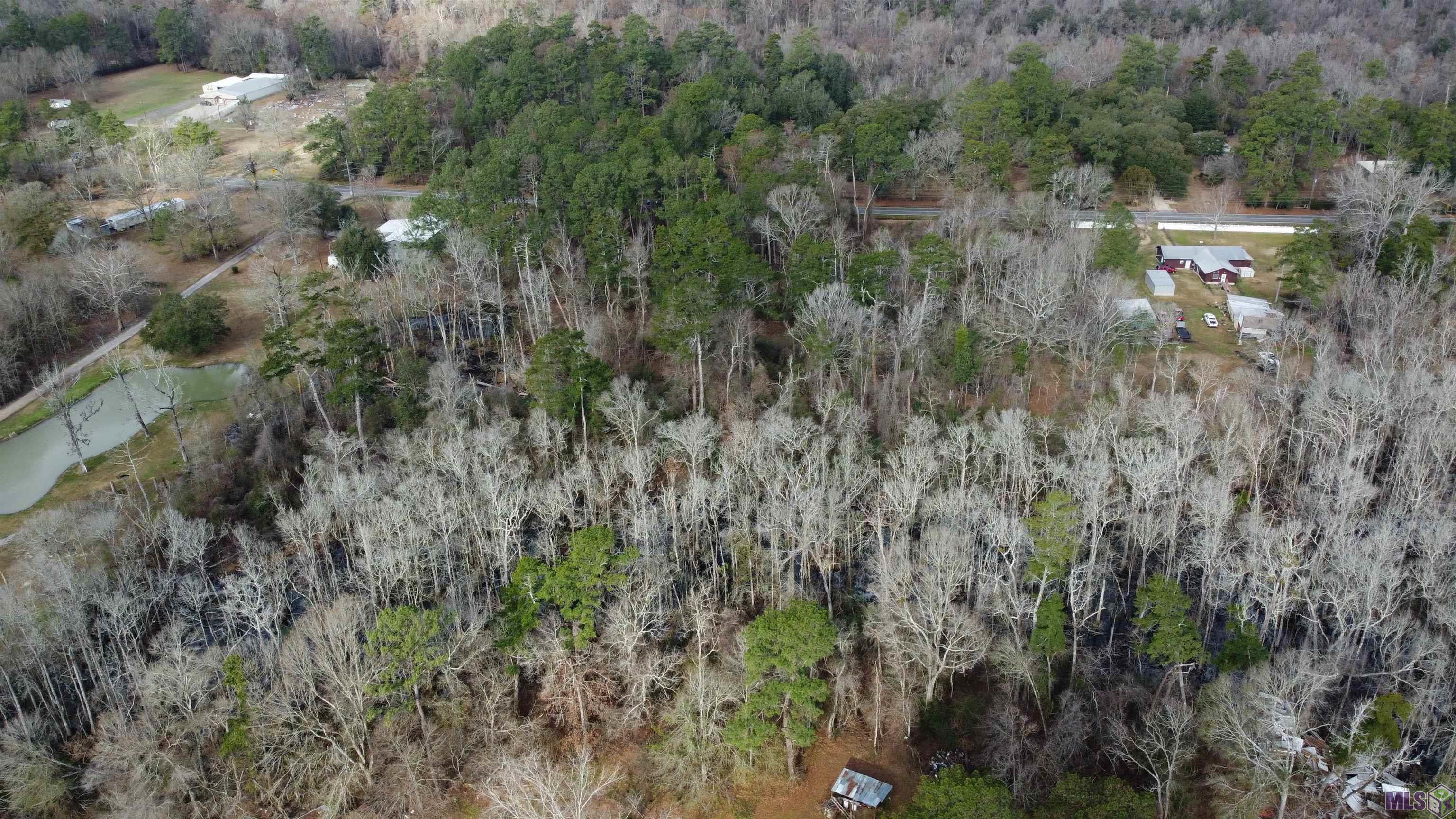 TBD La Hwy 16, Denham Springs, Louisiana image 18