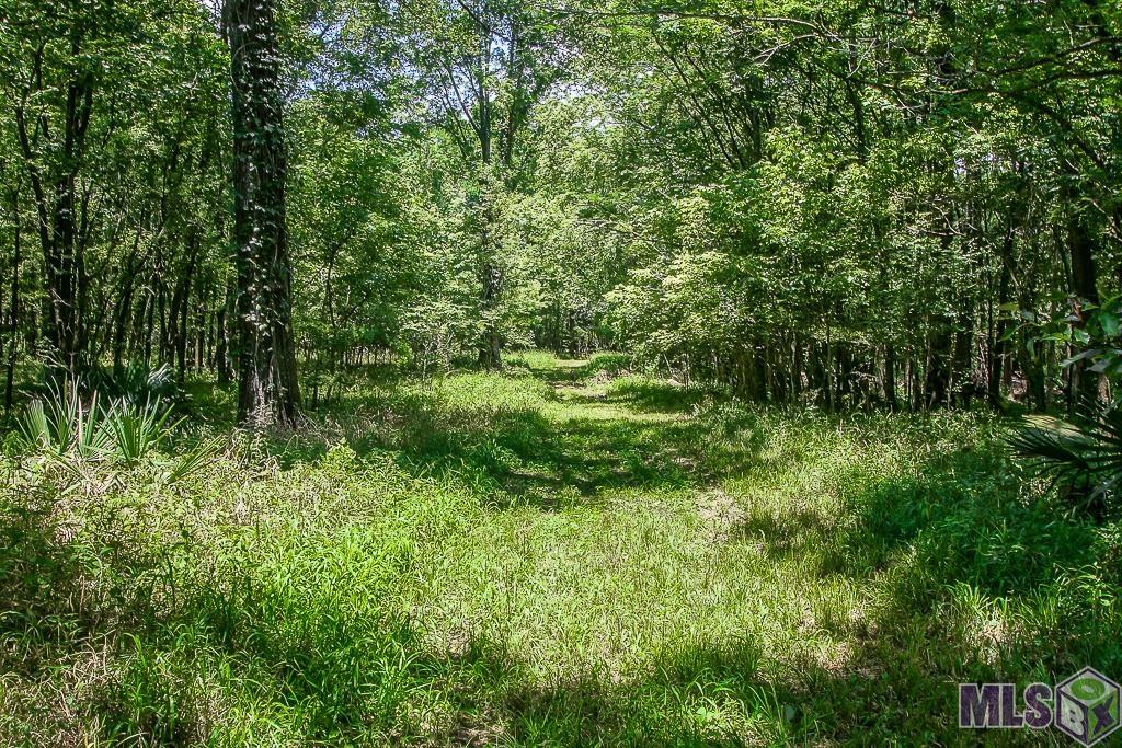 TRACT B & C Sidney Rd, Port Allen, Louisiana image 16