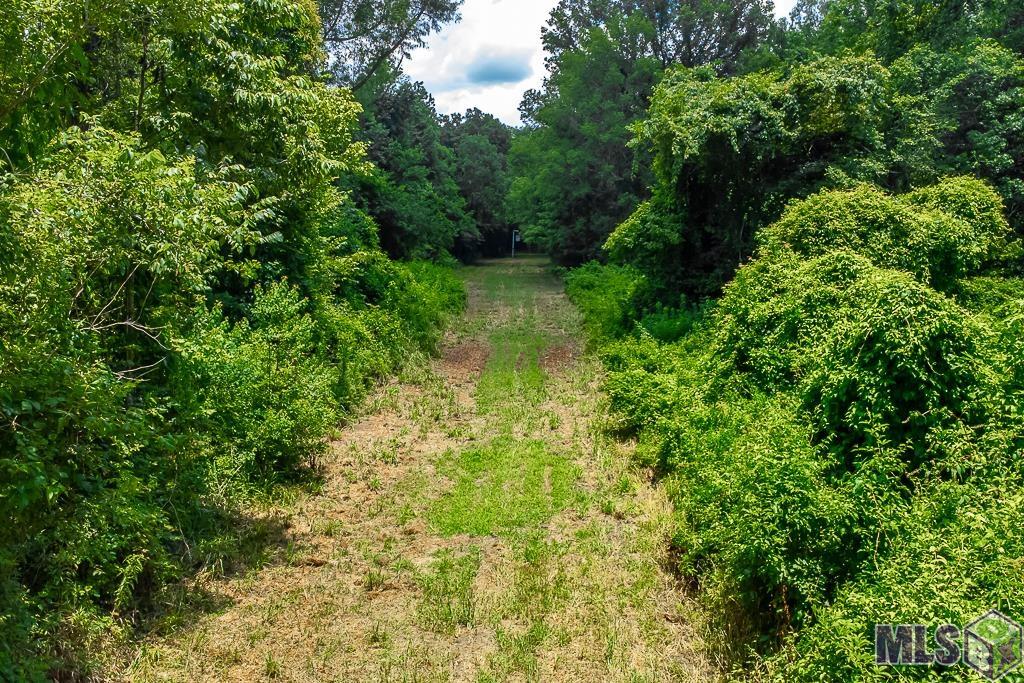 TRACT B & C Sidney Rd, Port Allen, Louisiana image 7