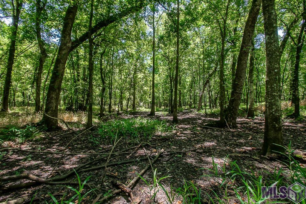 TRACT B & C Sidney Rd, Port Allen, Louisiana image 18