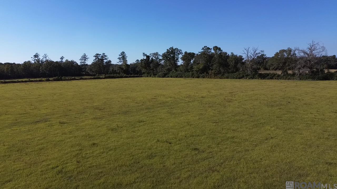 Tract 1-B Old Us 51 Highway, Amite, Louisiana image 4