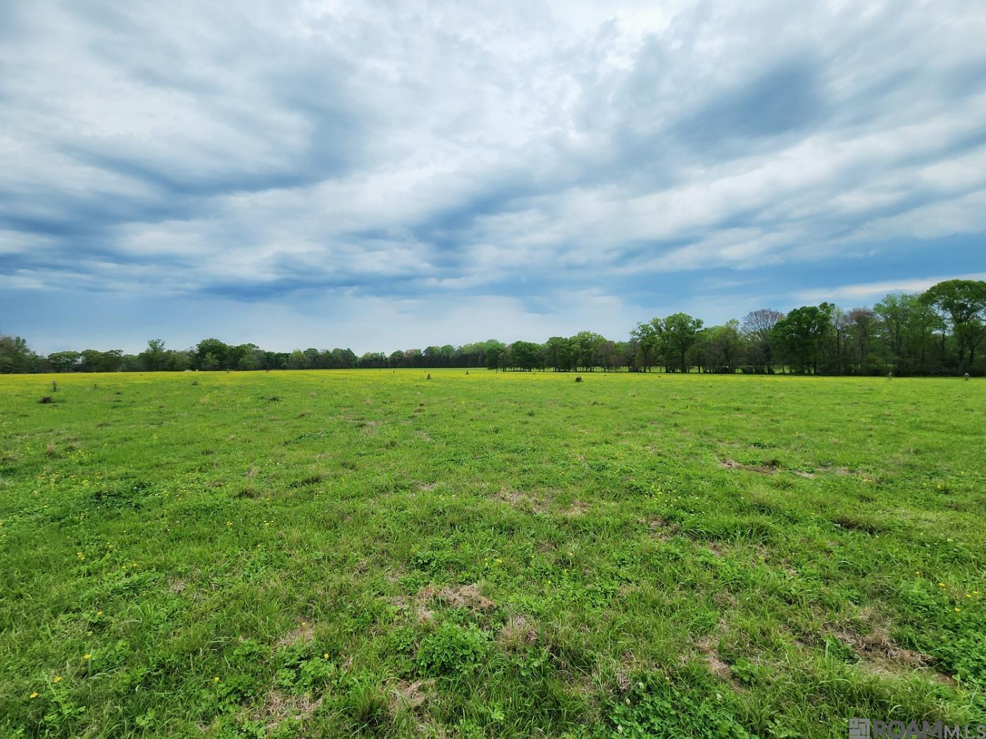 TBD Blatt Ln, Ethel, Louisiana image 5