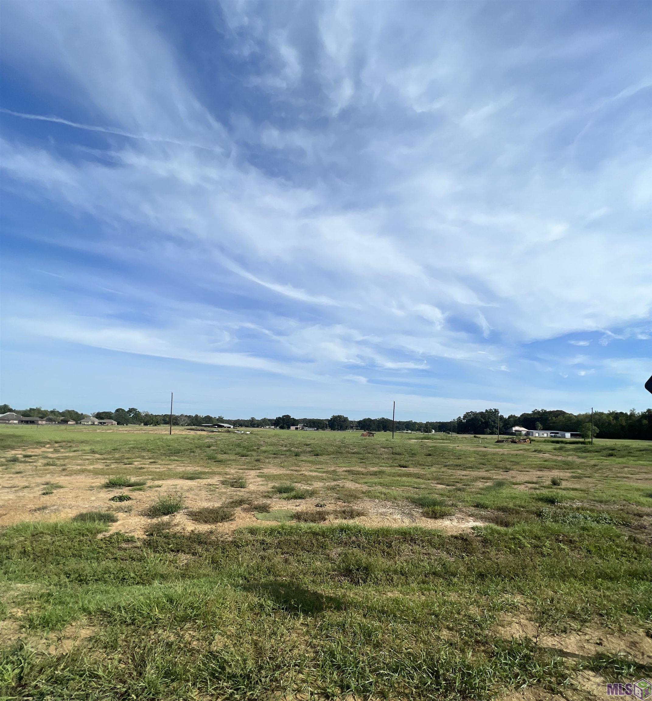 Lot # 25 Buddy Gore Rd, Gonzales, Louisiana image 6