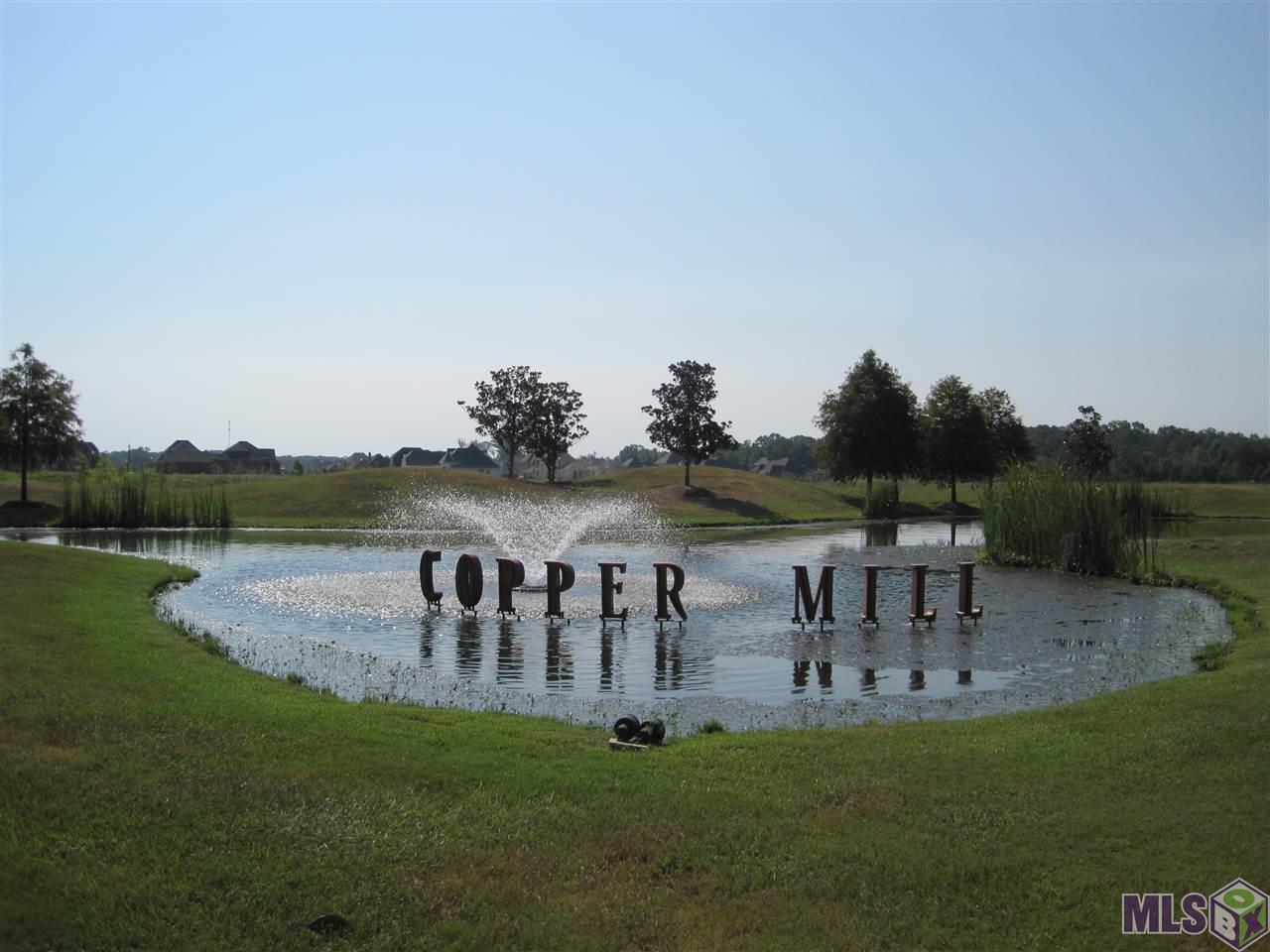 Lot 172 Undedicated, Zachary, Louisiana image 1