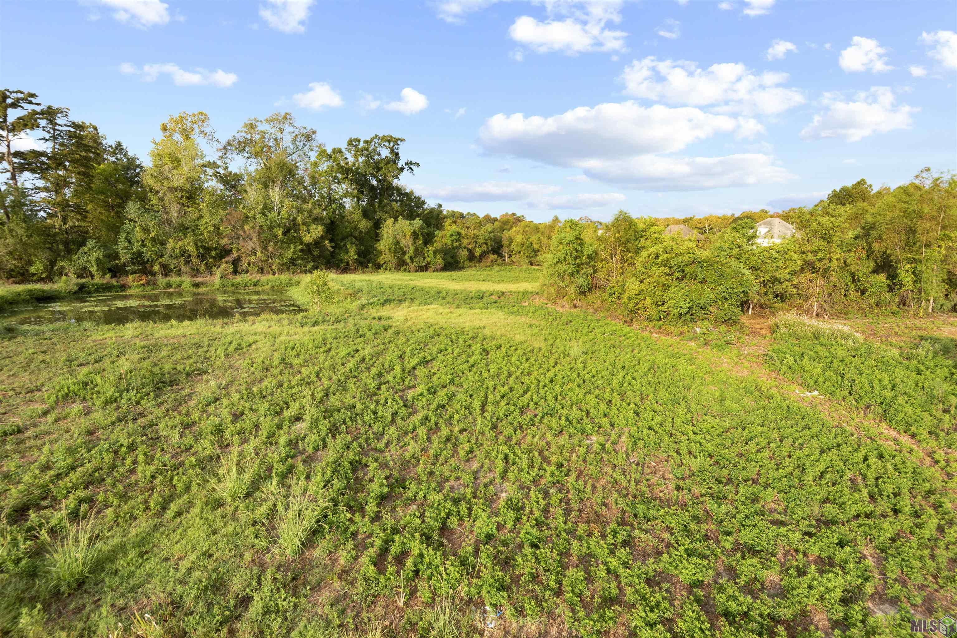 TBD Lot 19-A Amite Acres, Prairieville, Louisiana image 5