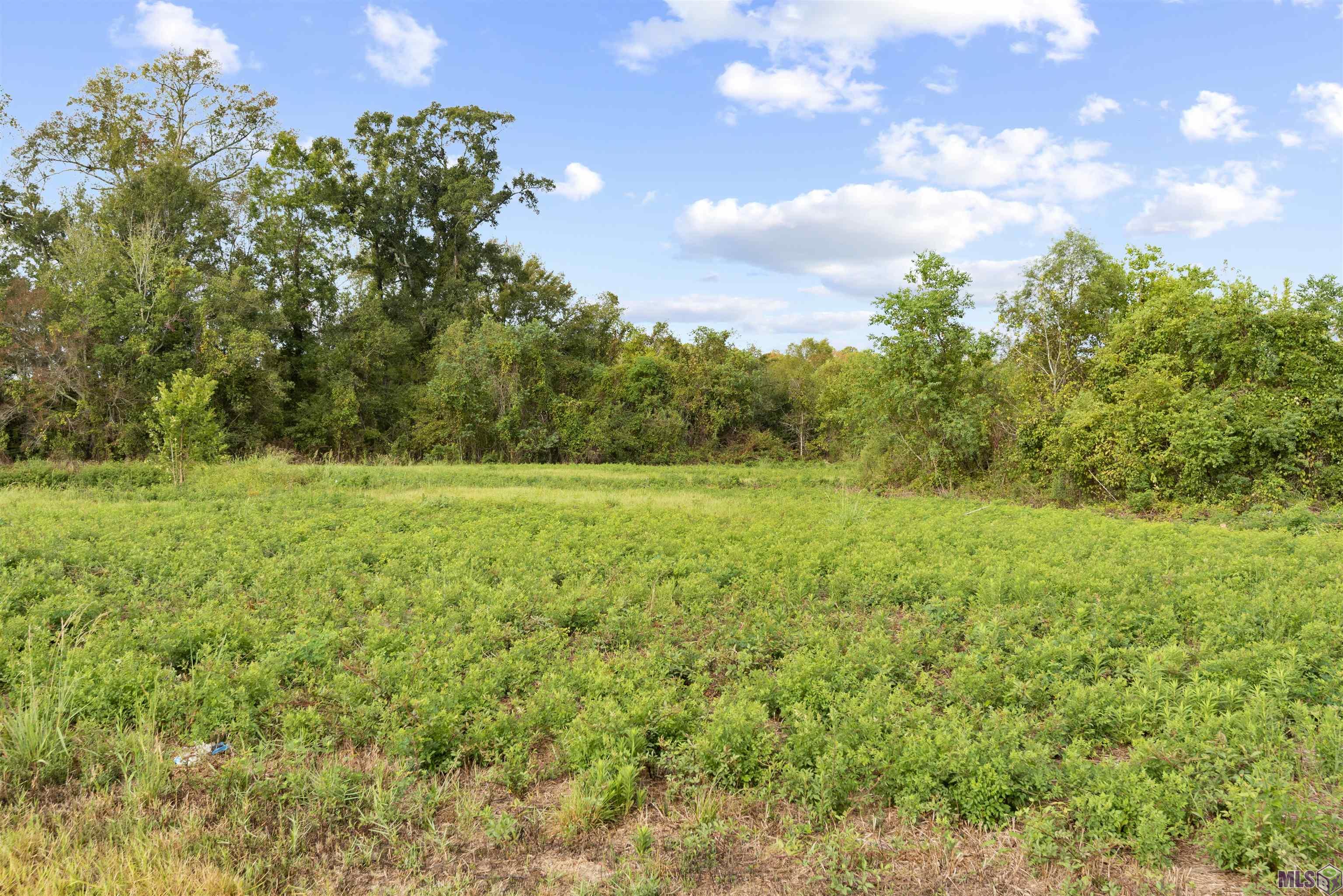 TBD Lot 19-A Amite Acres, Prairieville, Louisiana image 3