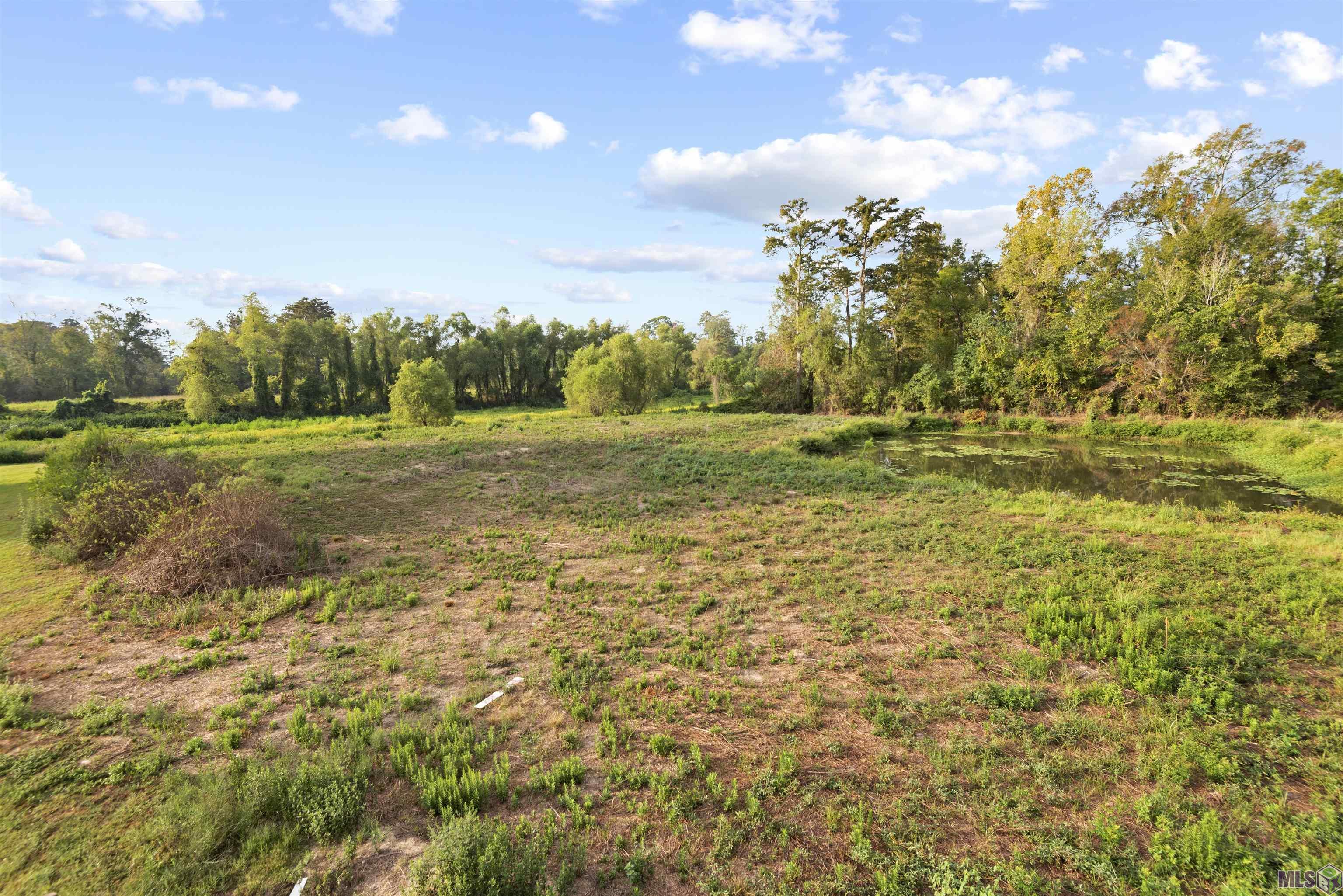 TBD Lot 19-A Amite Acres, Prairieville, Louisiana image 4