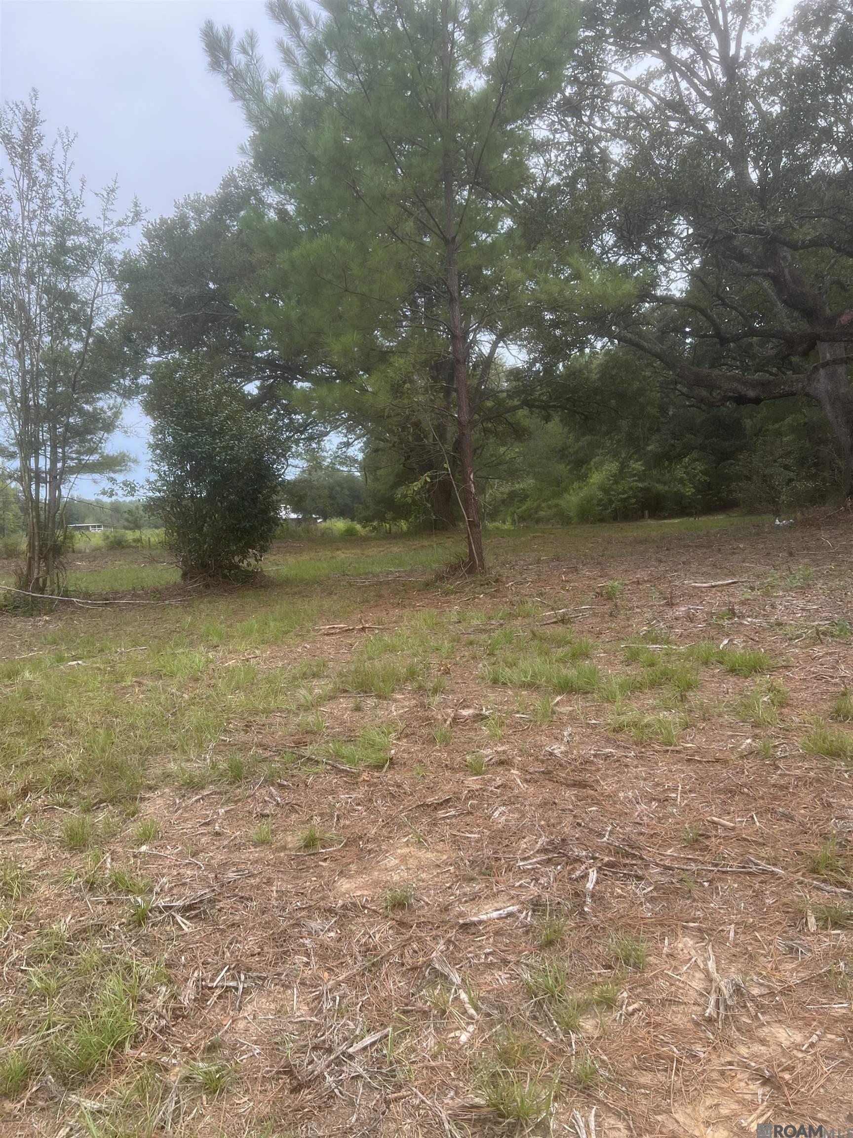 Lot 18 S Iberville Ave, Gonzales, Louisiana image 8