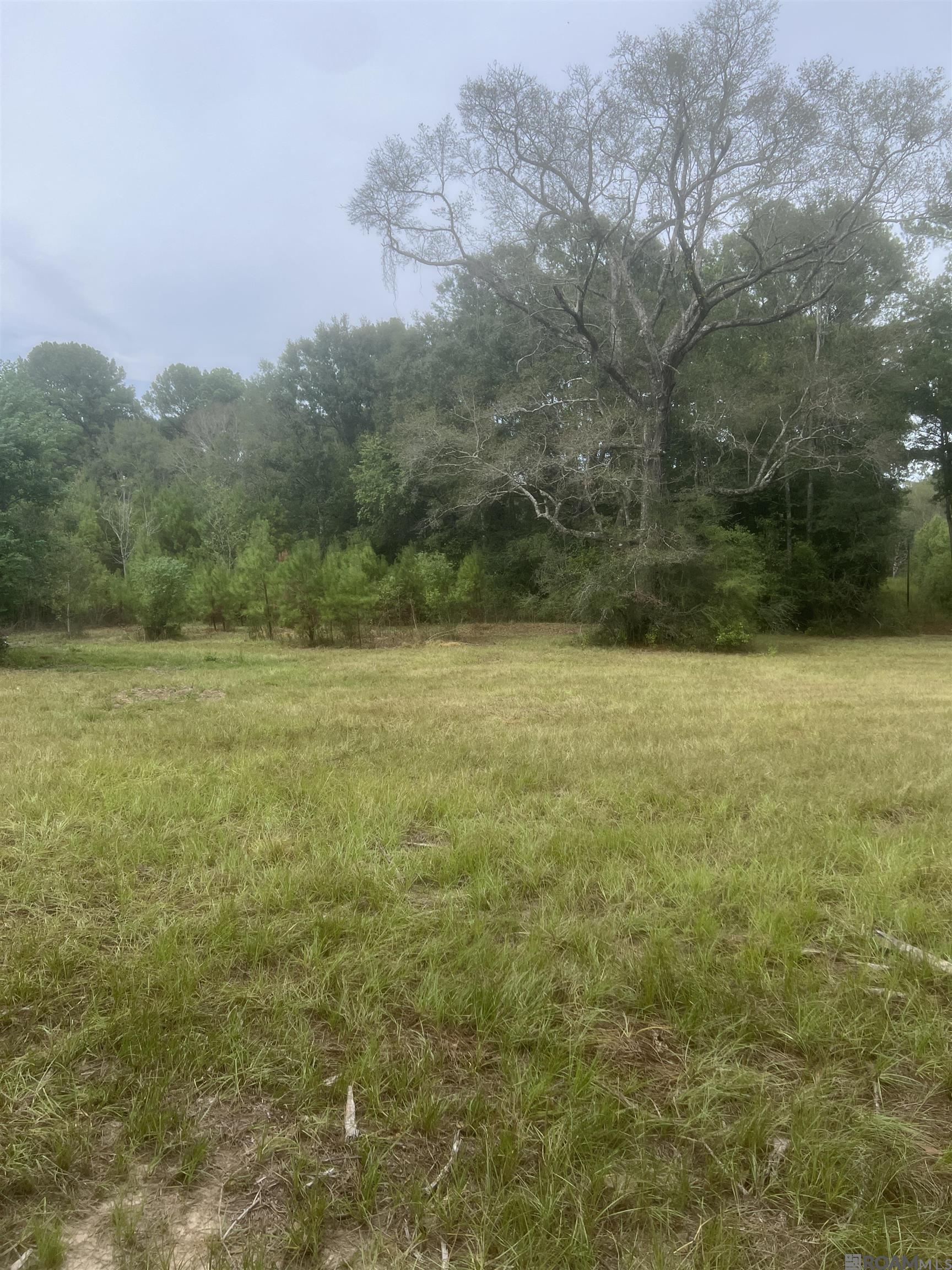 Lot 18 S Iberville Ave, Gonzales, Louisiana image 10