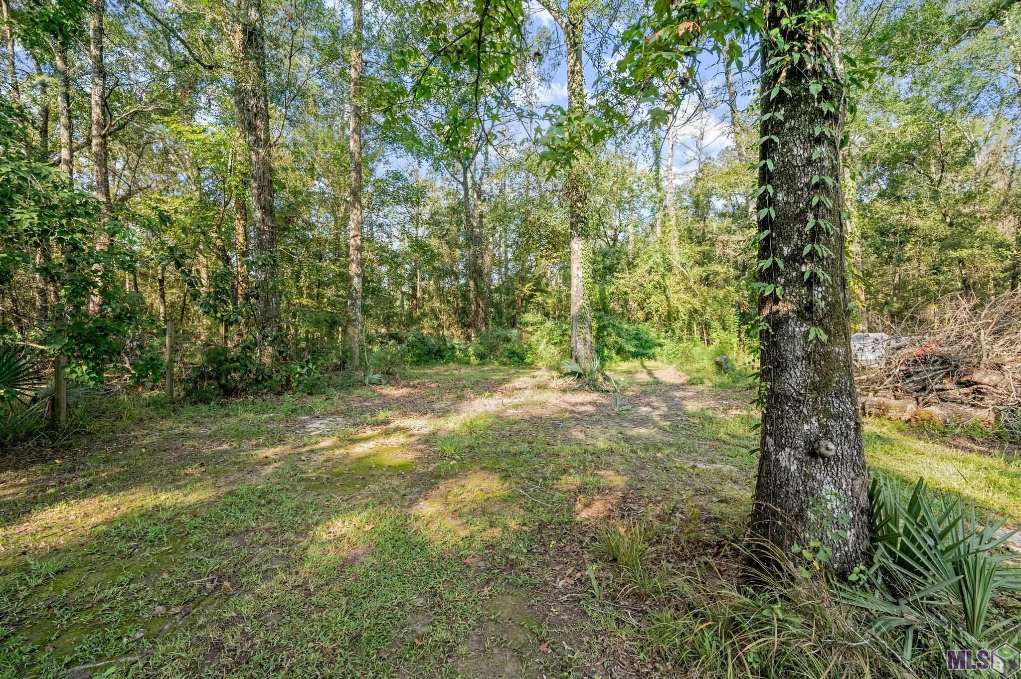 33951 Duff Rd, Walker, Louisiana image 11