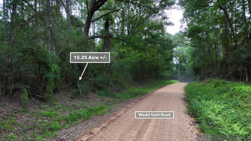 TBD Wadd Kent Rd, Clinton, Louisiana image 14