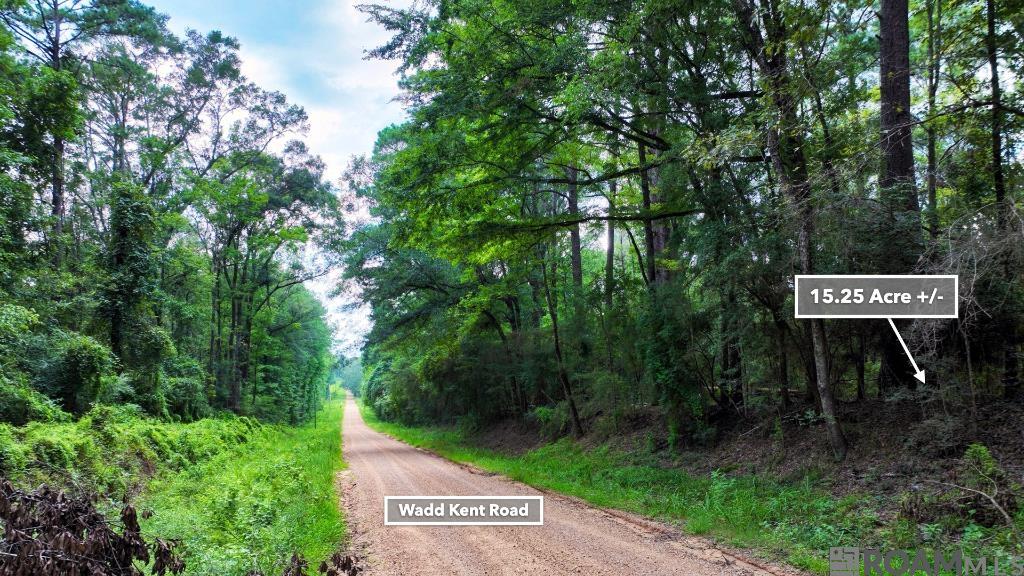 TBD Wadd Kent Rd, Clinton, Louisiana image 3