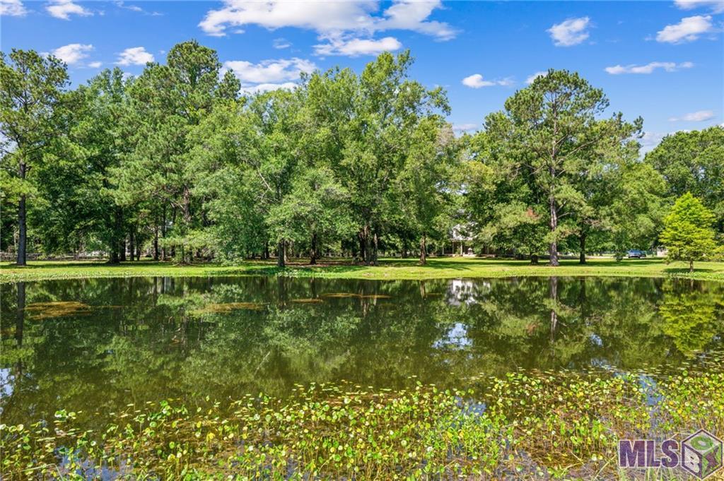 42318 Fire Tower Road, Ponchatoula, Louisiana image 15