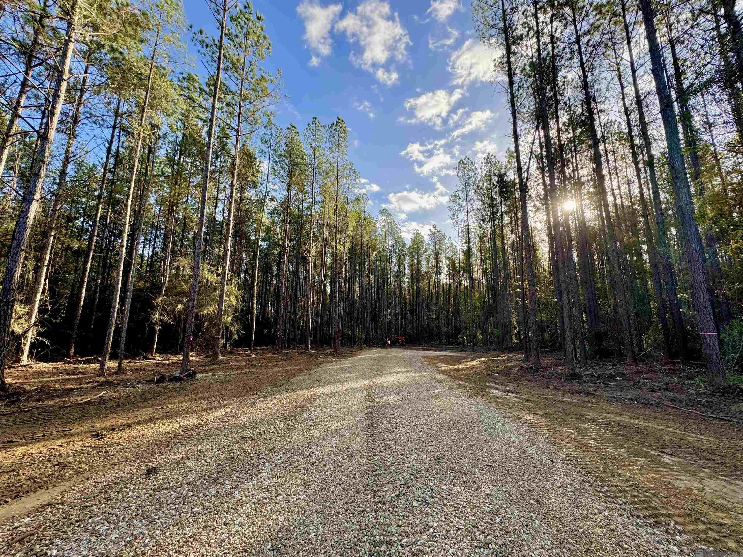 Lot 18 La Hwy 449, Pine Grove, Louisiana image 3