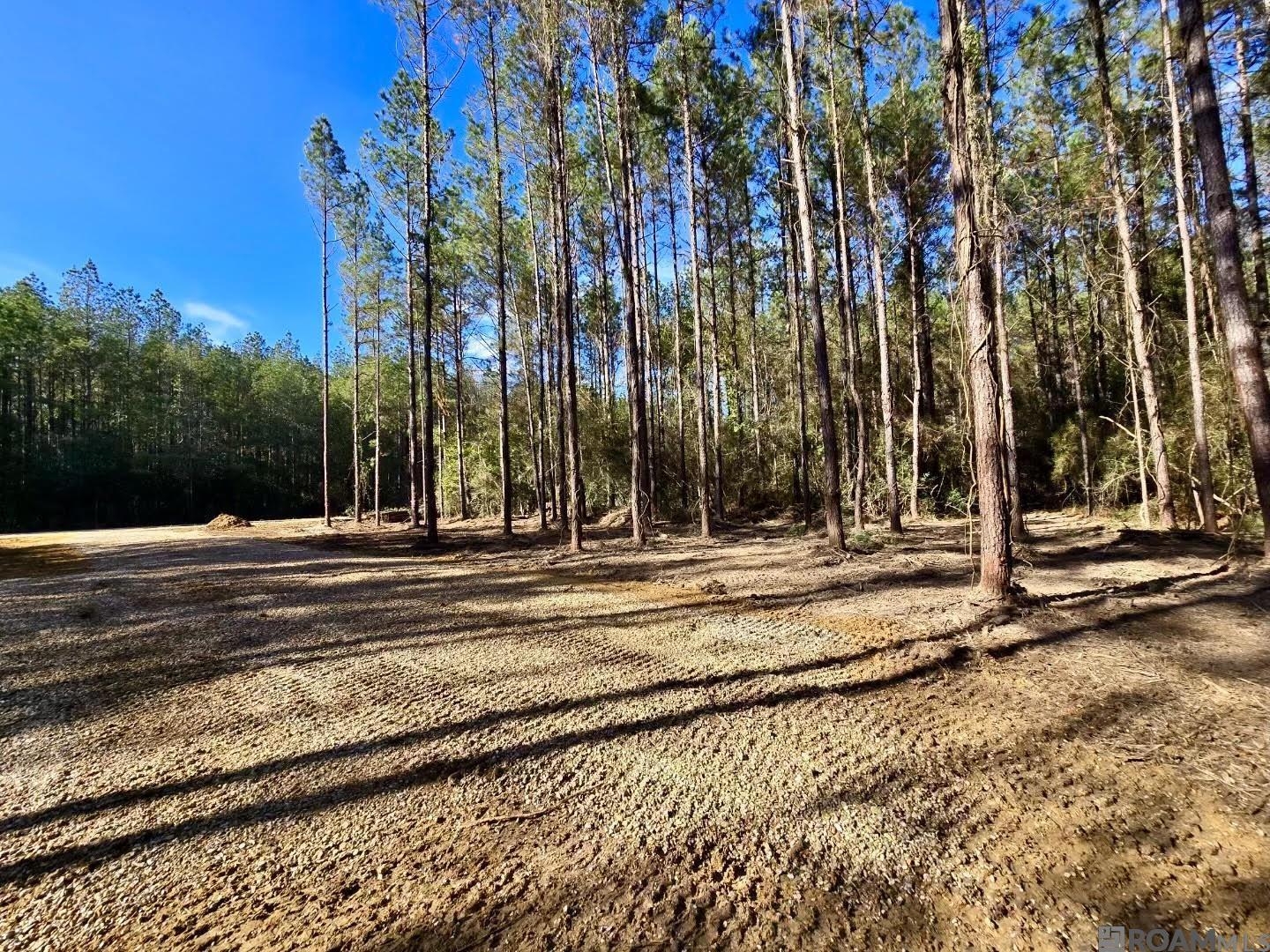 Lot 18 La Hwy 449, Pine Grove, Louisiana image 1