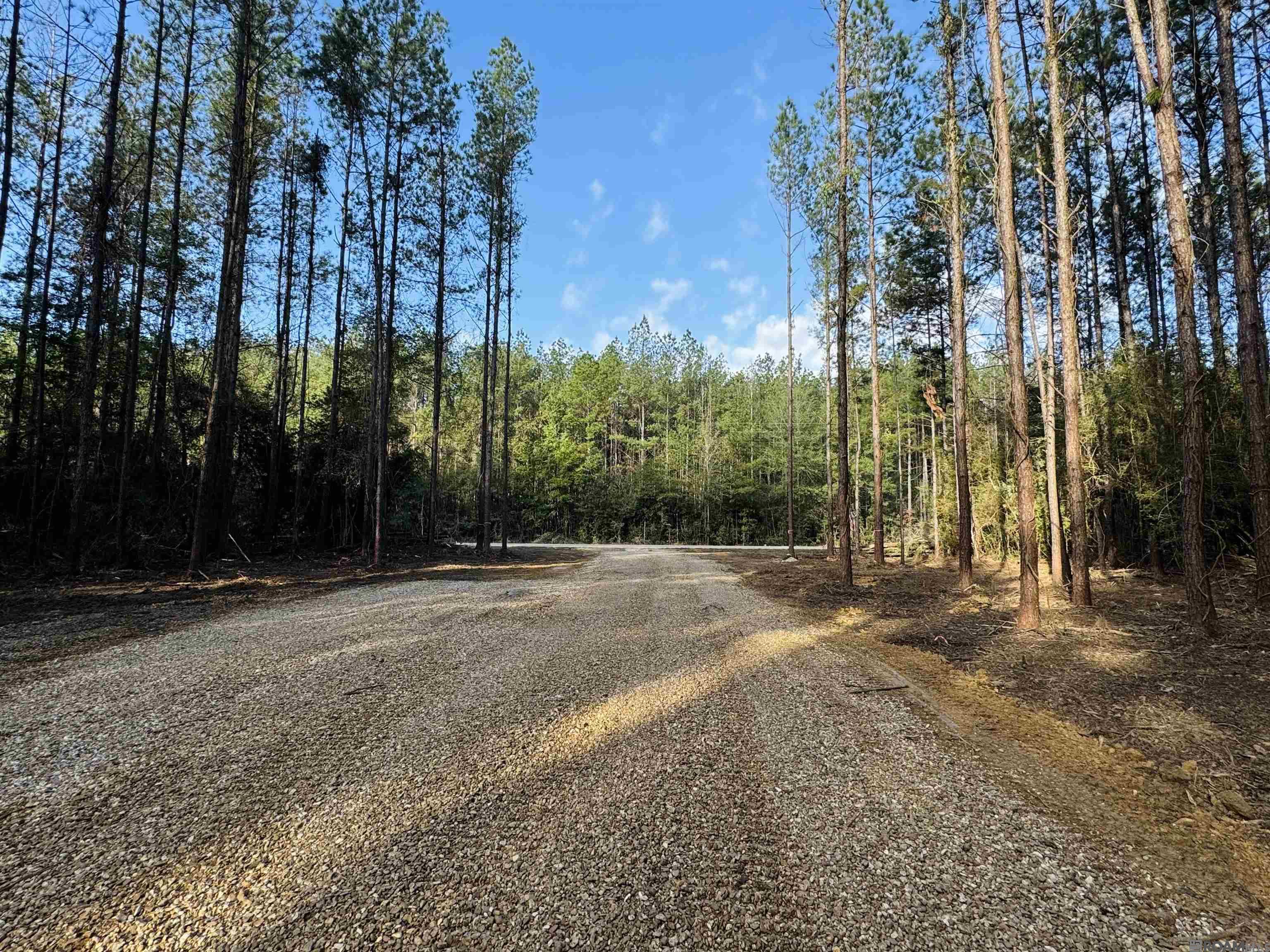 Lot 18 La Hwy 449, Pine Grove, Louisiana image 2