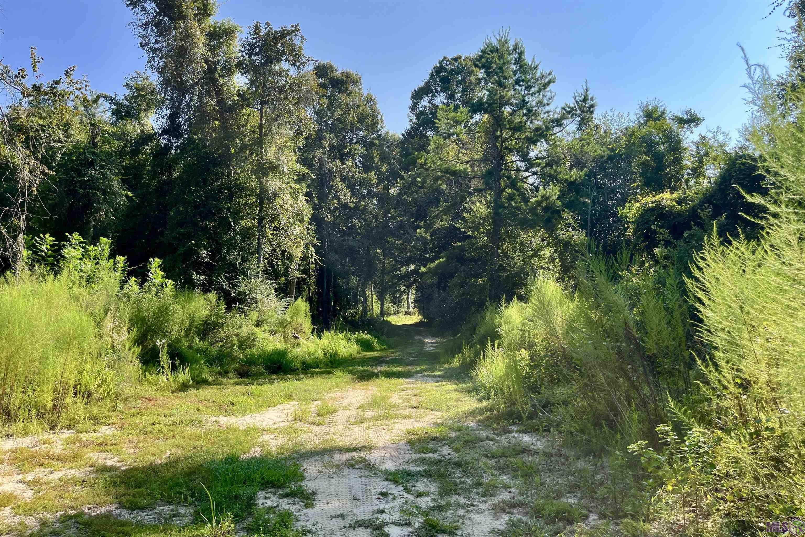 Lot 21 Southern Living Ln, Denham Springs, Louisiana image 41