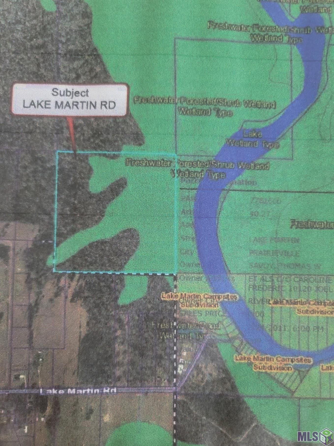 Lot#6E NE Lake Martin Rd, Prairieville, Louisiana image 1