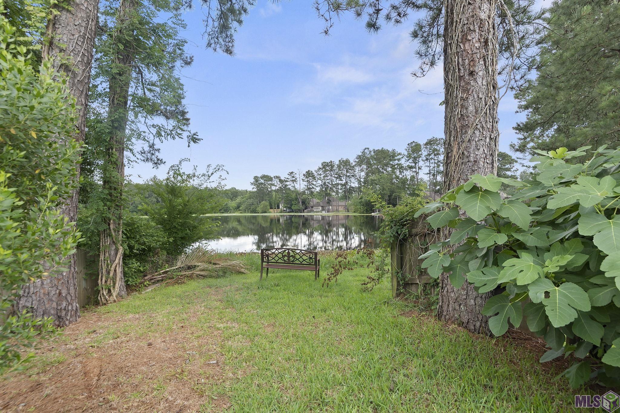 12524 N Lakeshore Dr, Walker, Louisiana image 34