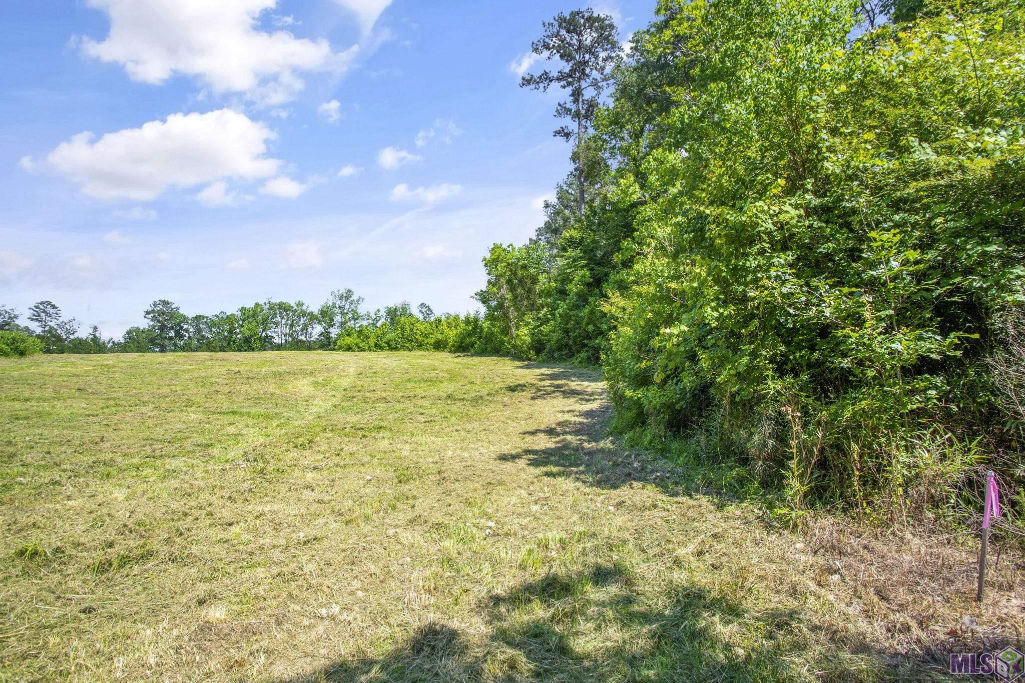 Lot 2 Freeland Rd, Saint Francisville, Louisiana image 6