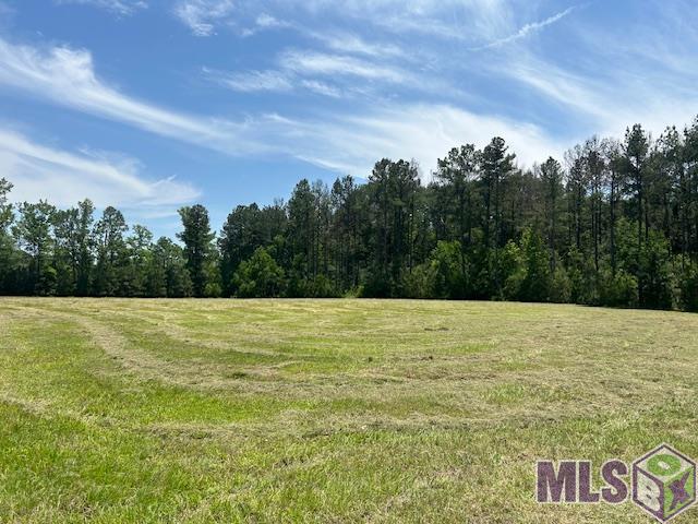 Lot 2 Freeland Rd, Saint Francisville, Louisiana image 9