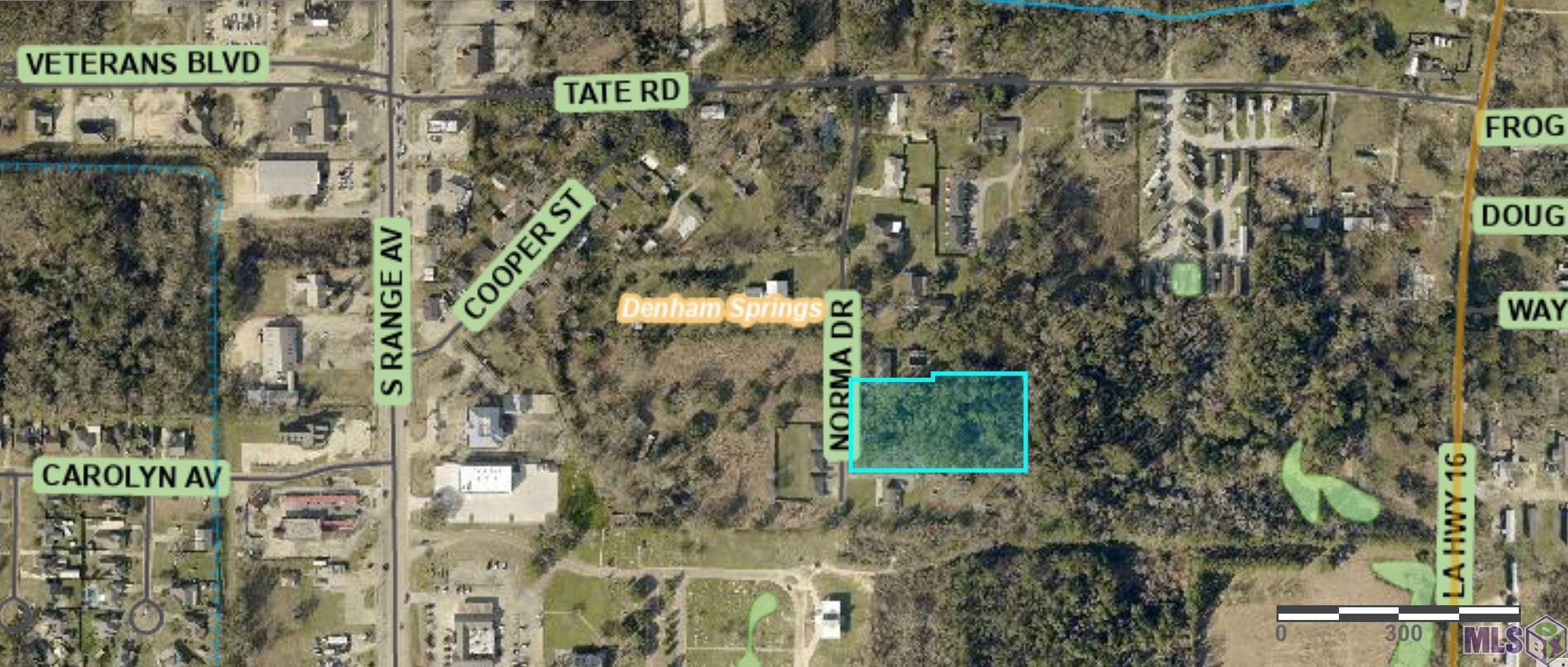 2 Acres Norma Dr, Denham Springs, Louisiana image 3