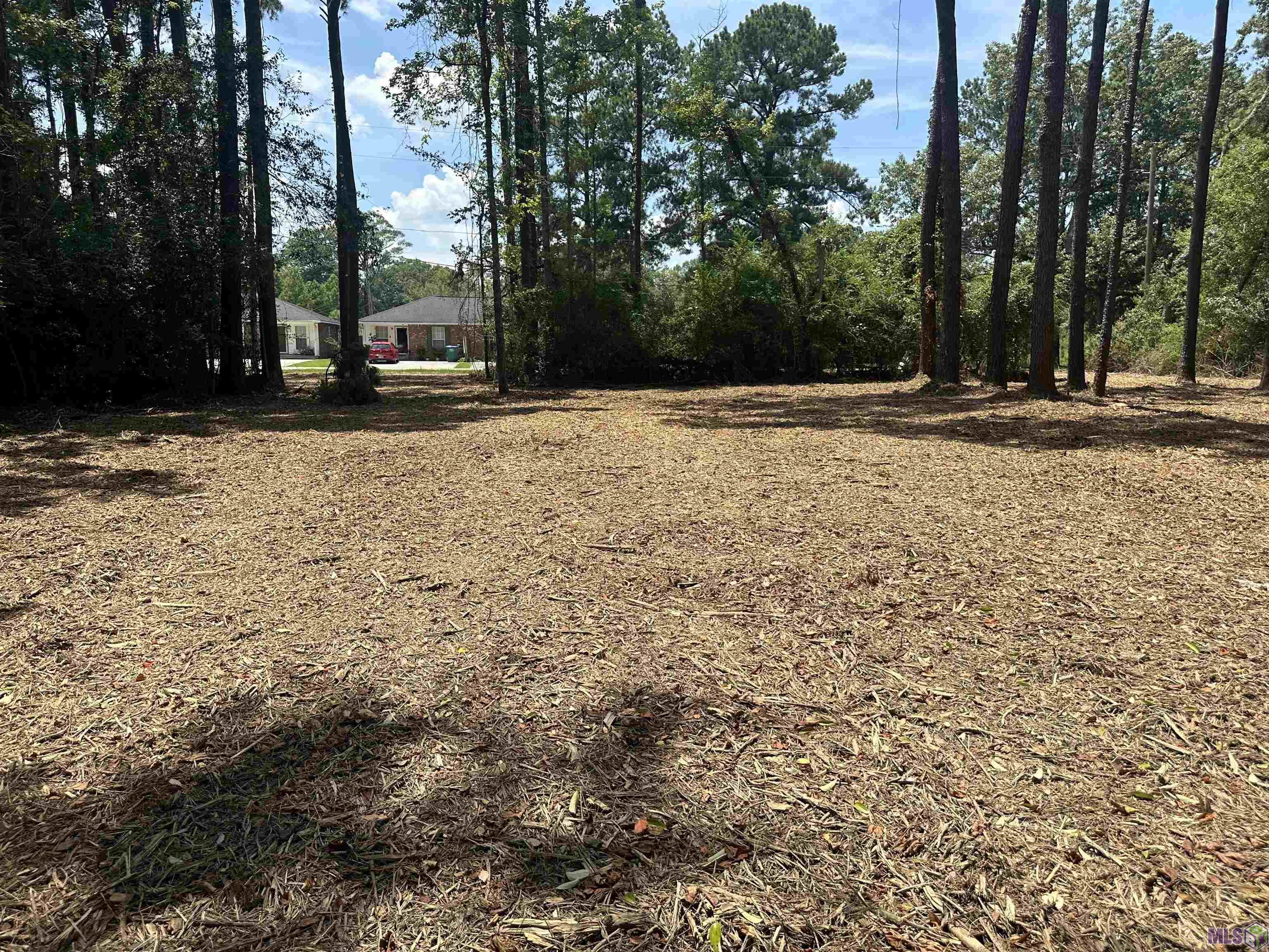 2 Acres Norma Dr, Denham Springs, Louisiana image 11