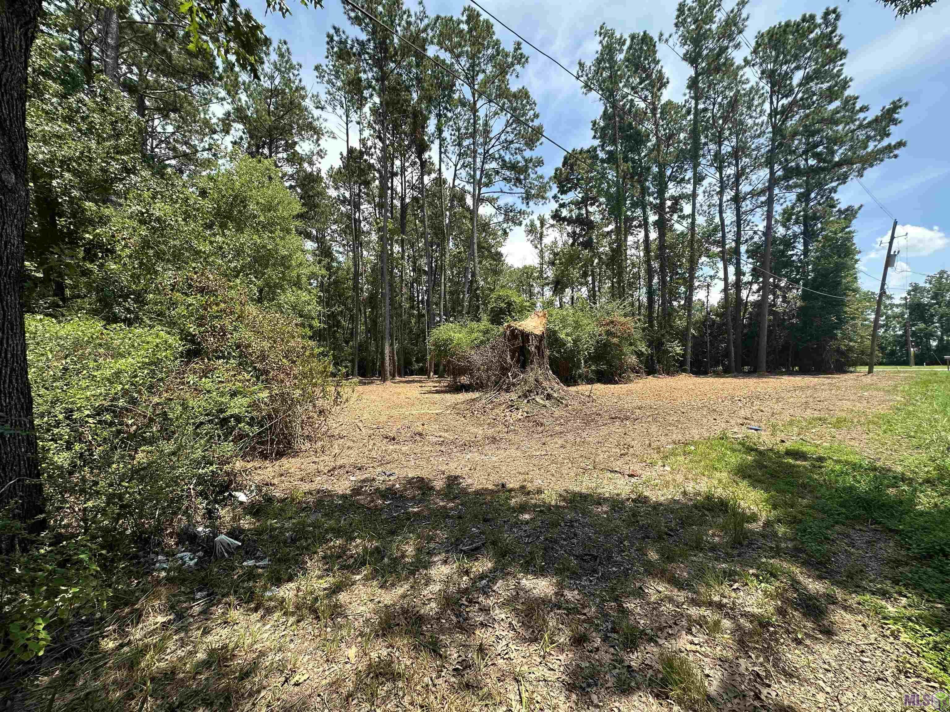 2 Acres Norma Dr, Denham Springs, Louisiana image 12