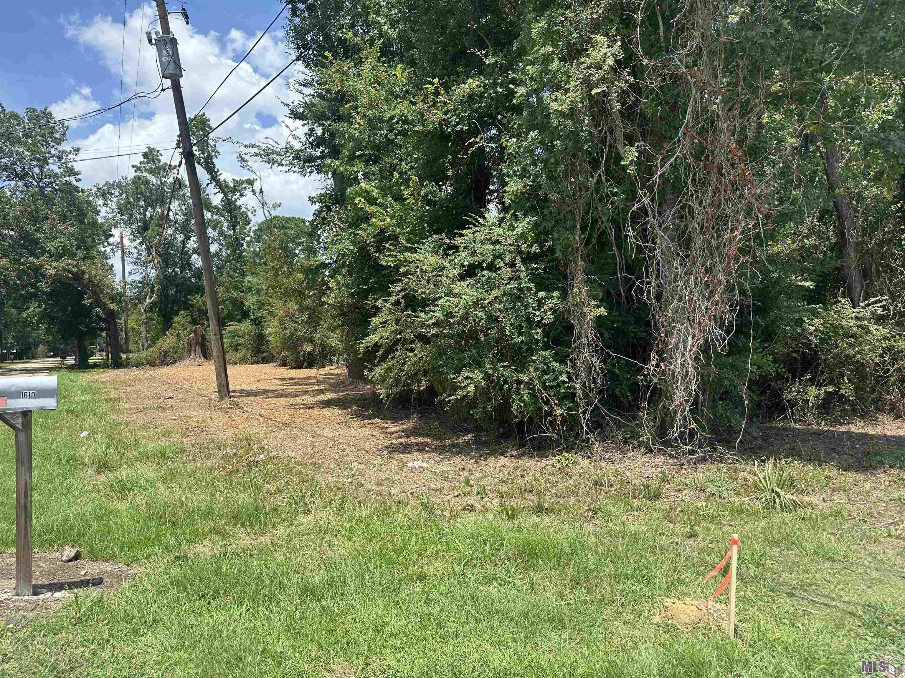 2 Acres Norma Dr, Denham Springs, Louisiana image 19