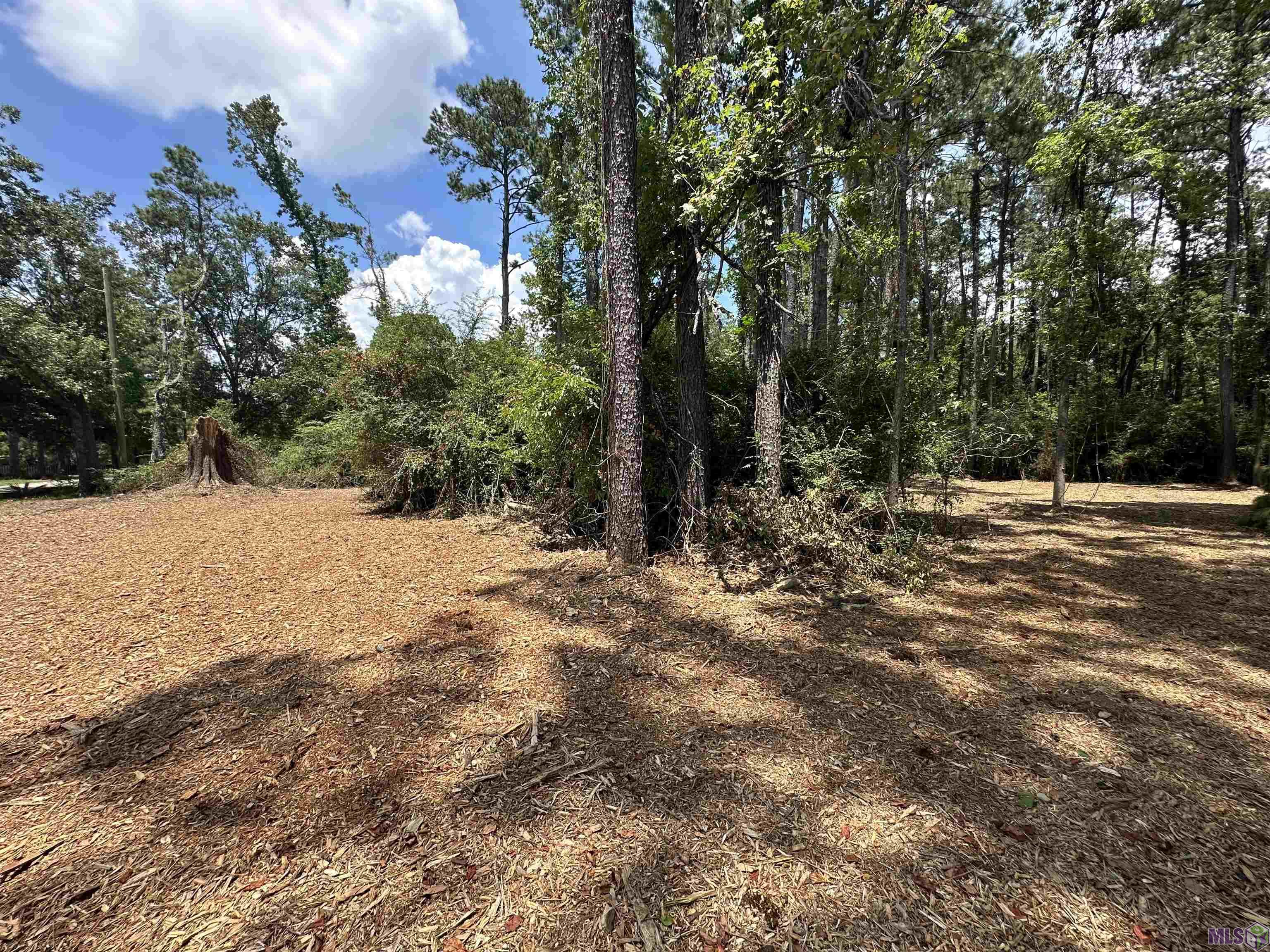 2 Acres Norma Dr, Denham Springs, Louisiana image 7