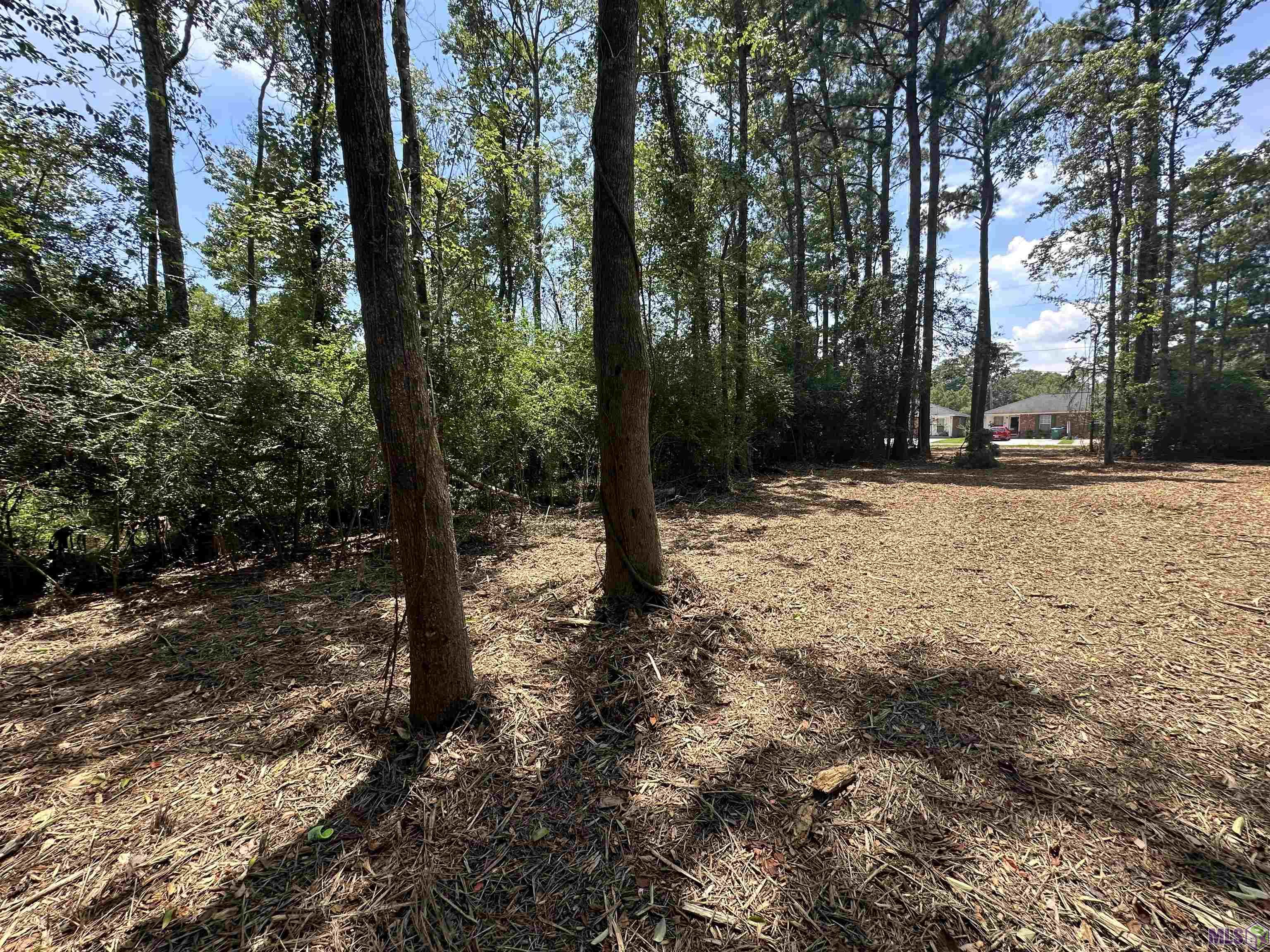 2 Acres Norma Dr, Denham Springs, Louisiana image 10