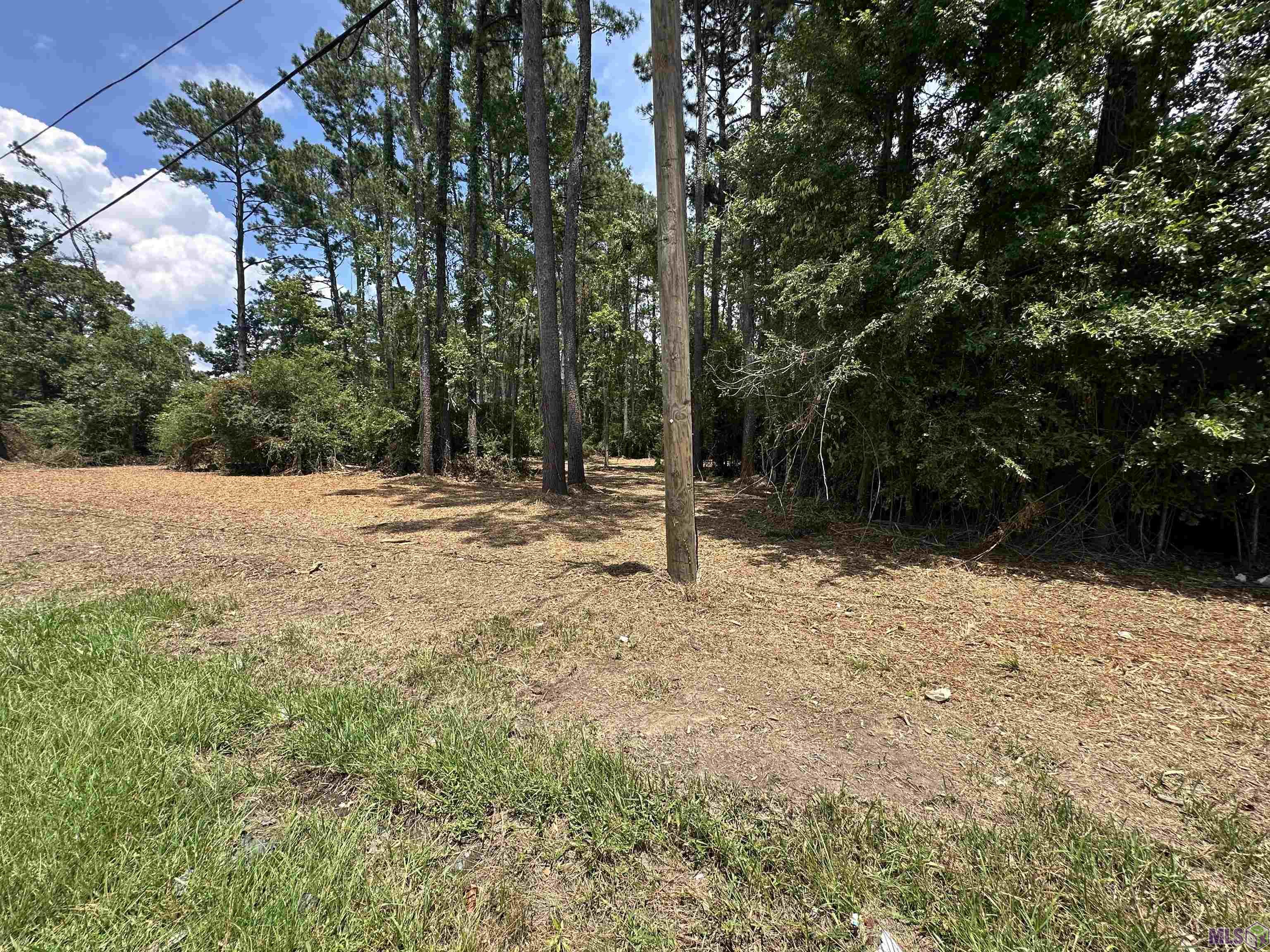 2 Acres Norma Dr, Denham Springs, Louisiana image 8