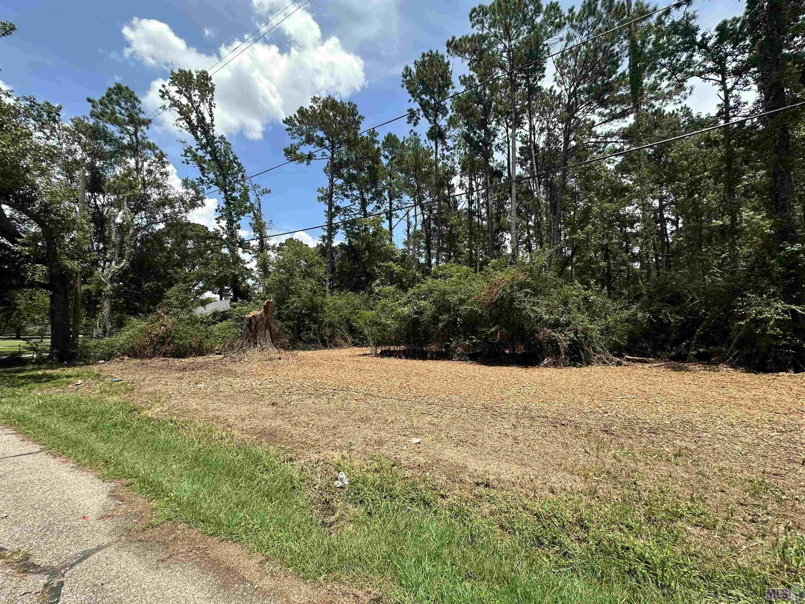 2 Acres Norma Dr, Denham Springs, Louisiana image 15