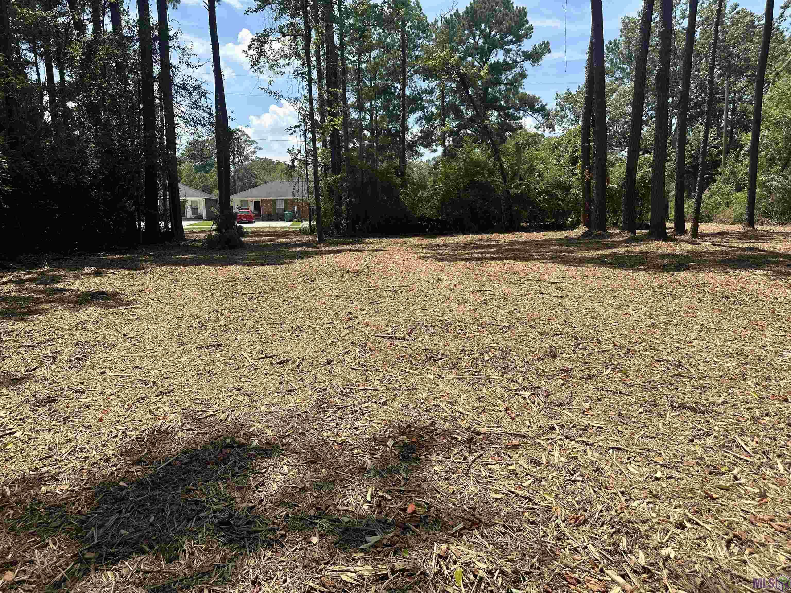 2 Acres Norma Dr, Denham Springs, Louisiana image 1