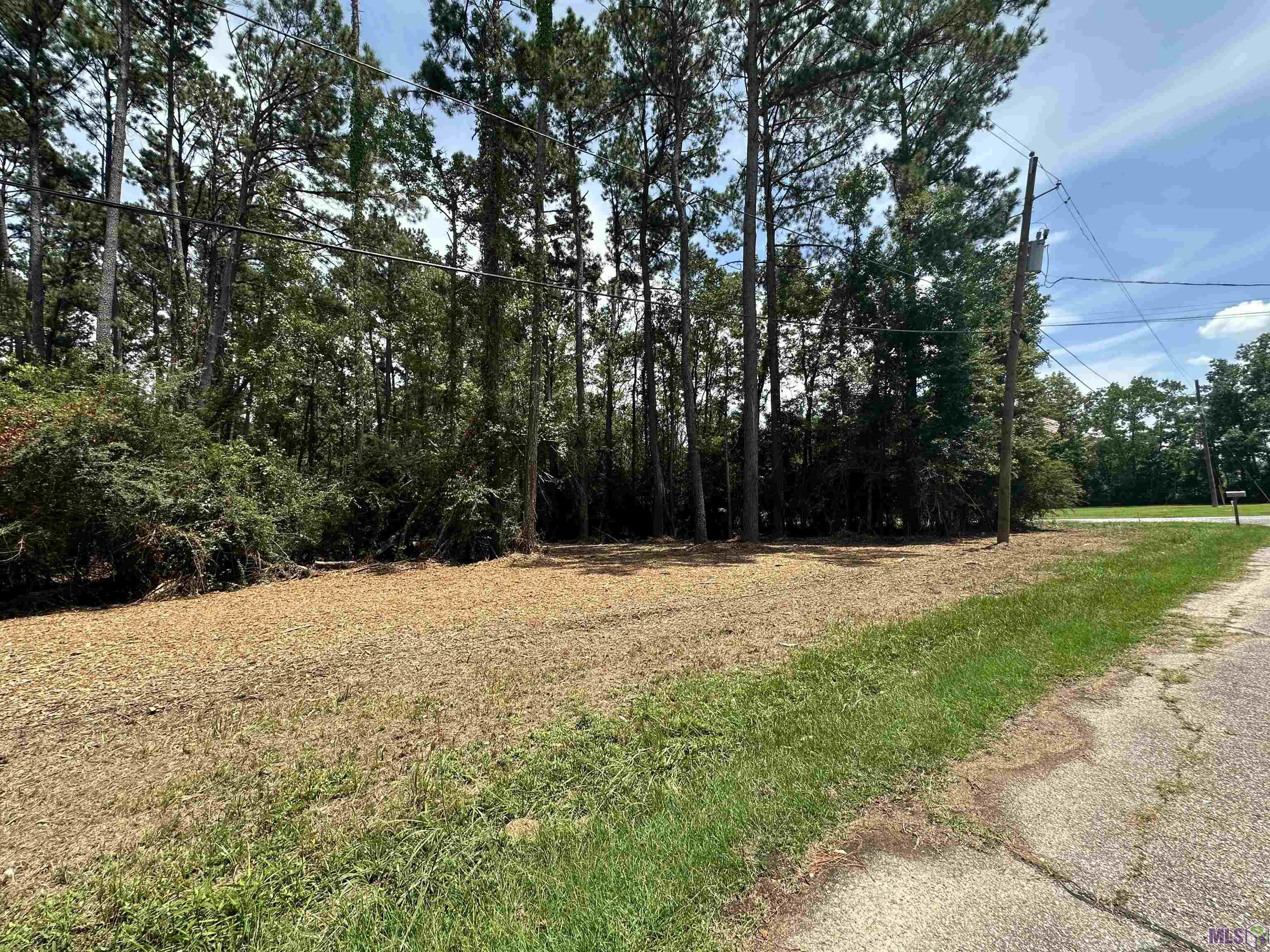 2 Acres Norma Dr, Denham Springs, Louisiana image 14