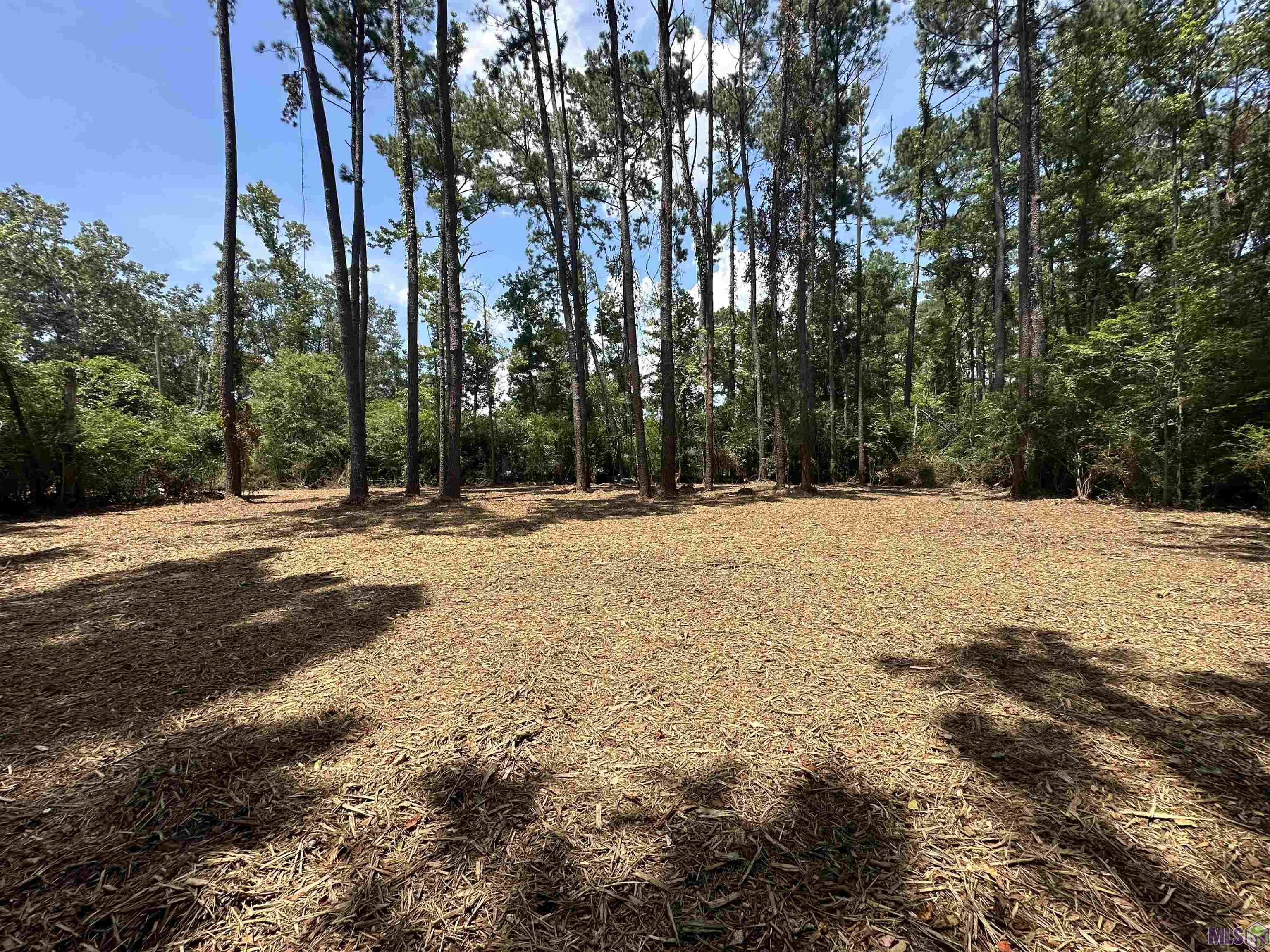 2 Acres Norma Dr, Denham Springs, Louisiana image 4