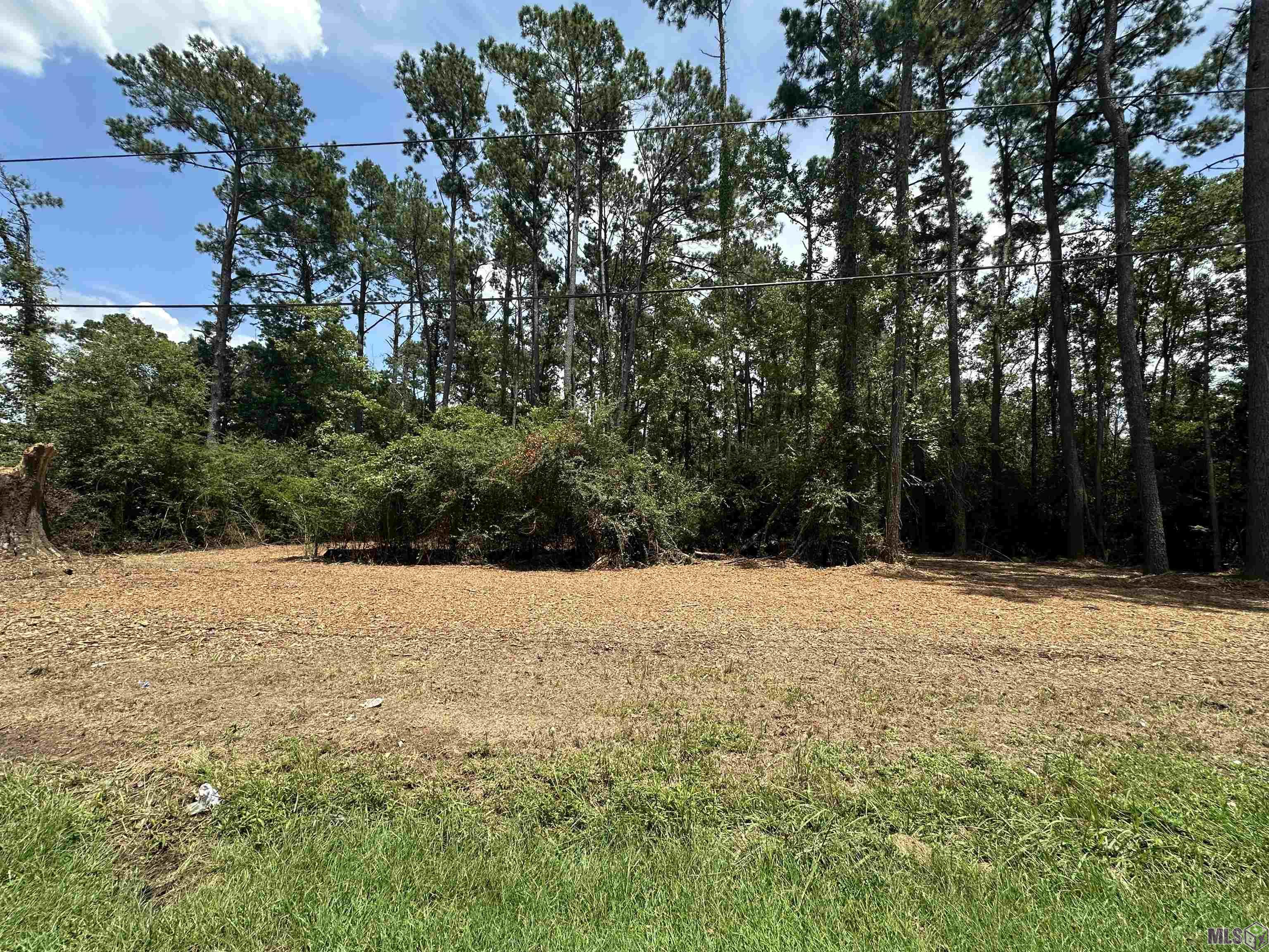 2 Acres Norma Dr, Denham Springs, Louisiana image 16