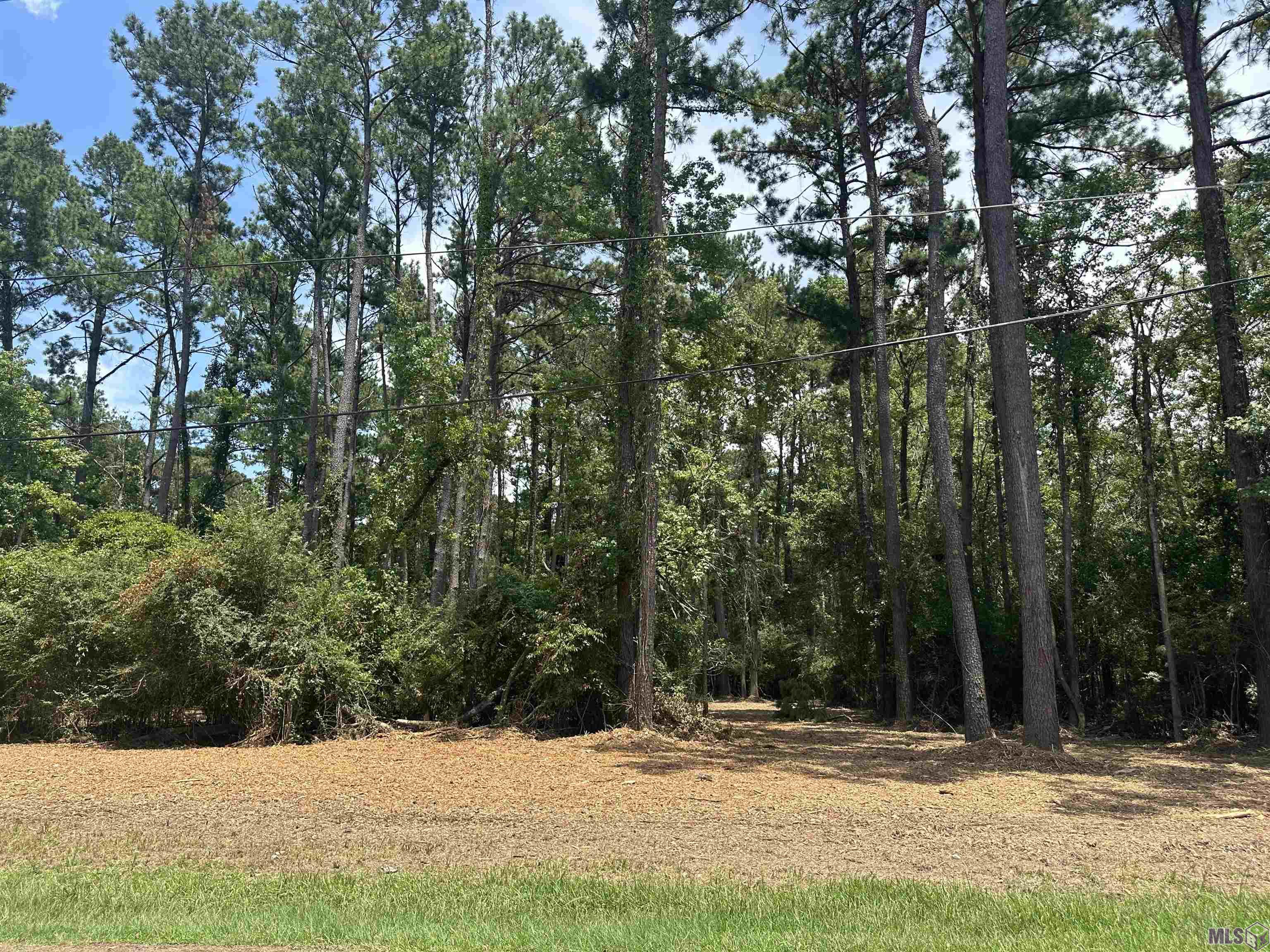 2 Acres Norma Dr, Denham Springs, Louisiana image 17