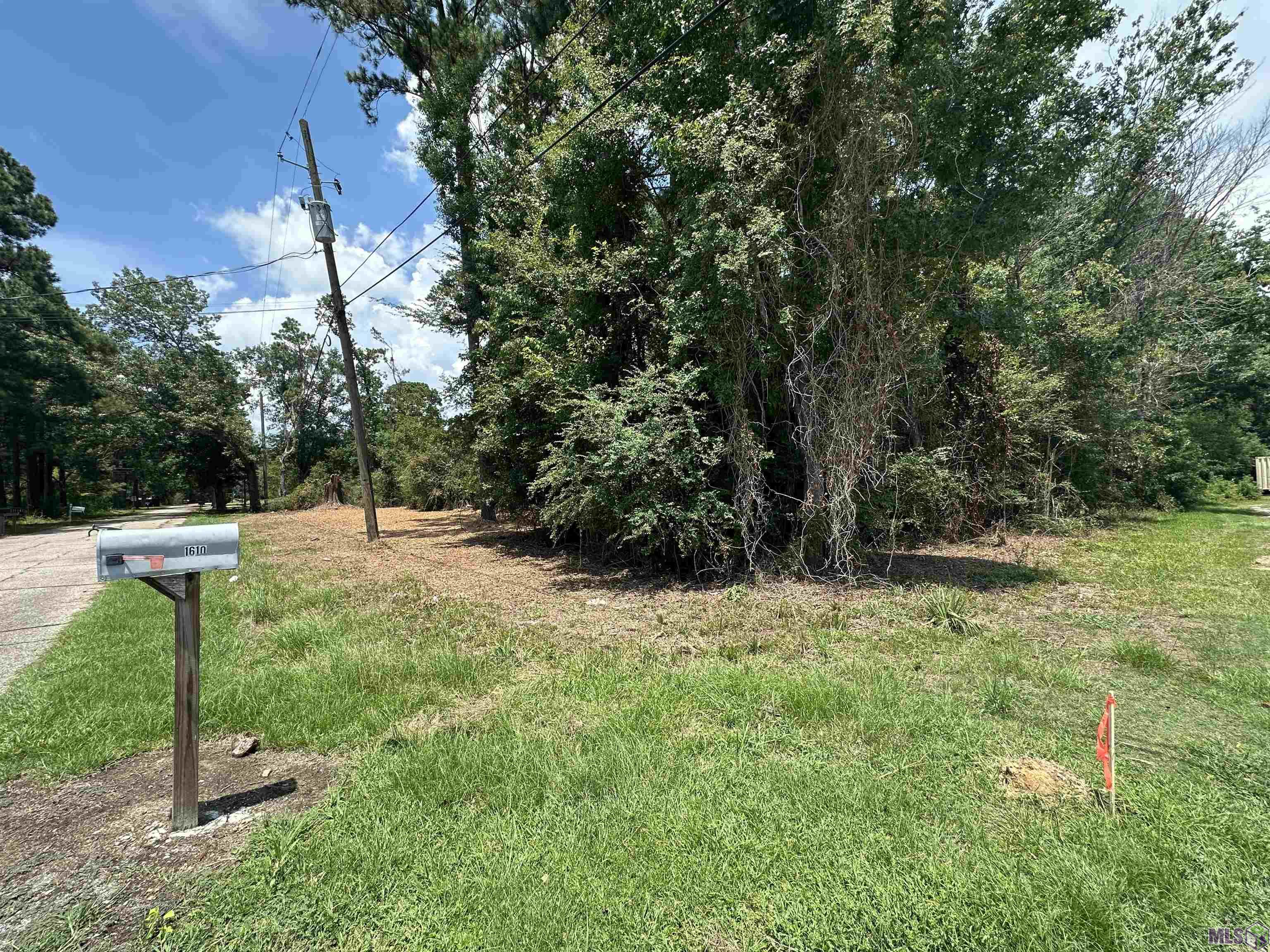 2 Acres Norma Dr, Denham Springs, Louisiana image 18