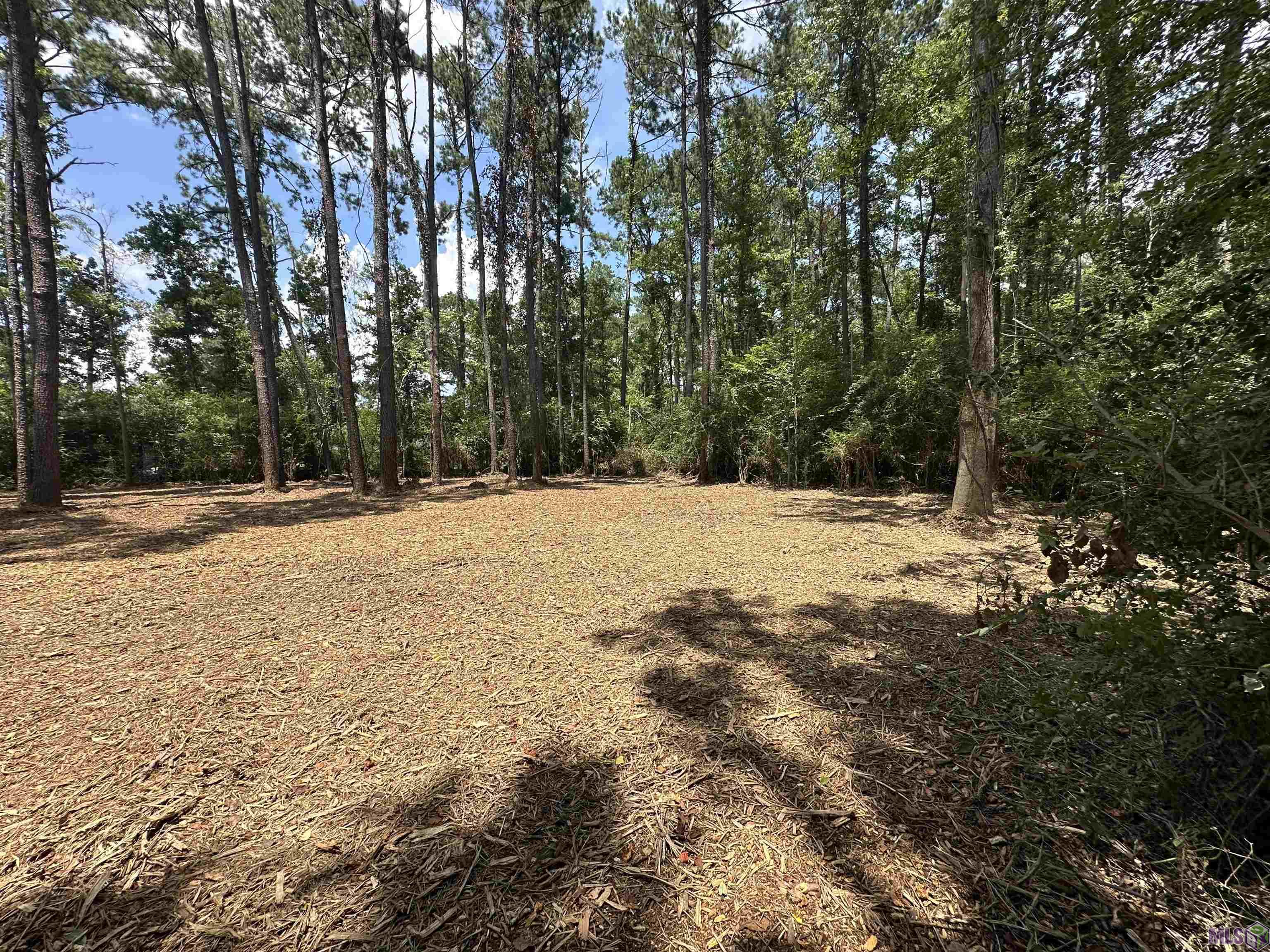 2 Acres Norma Dr, Denham Springs, Louisiana image 6