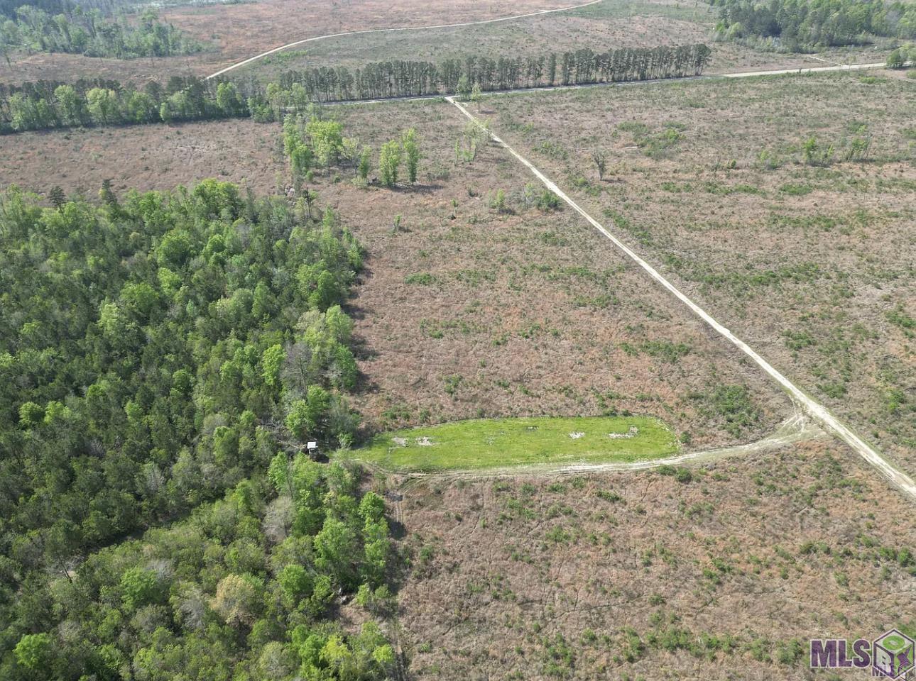 10 Acres La Hwy 63, Livingston, Louisiana image 15