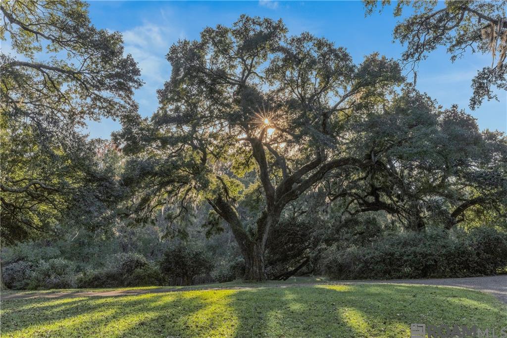 109 Carmel Church Road, Natchez, Mississippi image 8